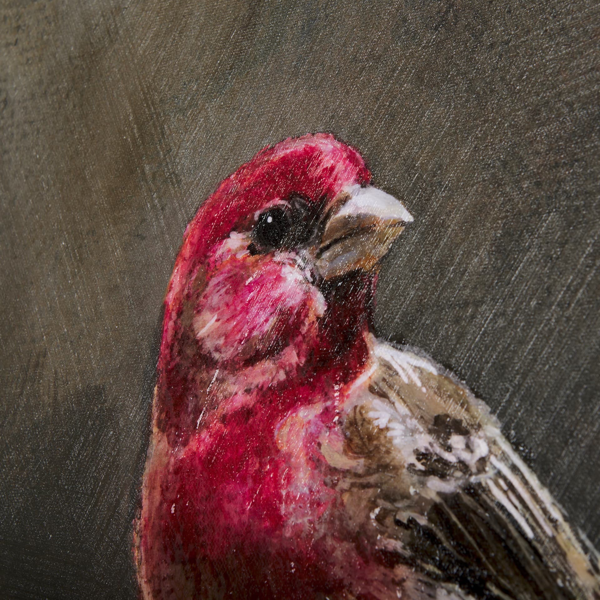 Graceful Poise I (House Finch)(42 x 56) — product photograph