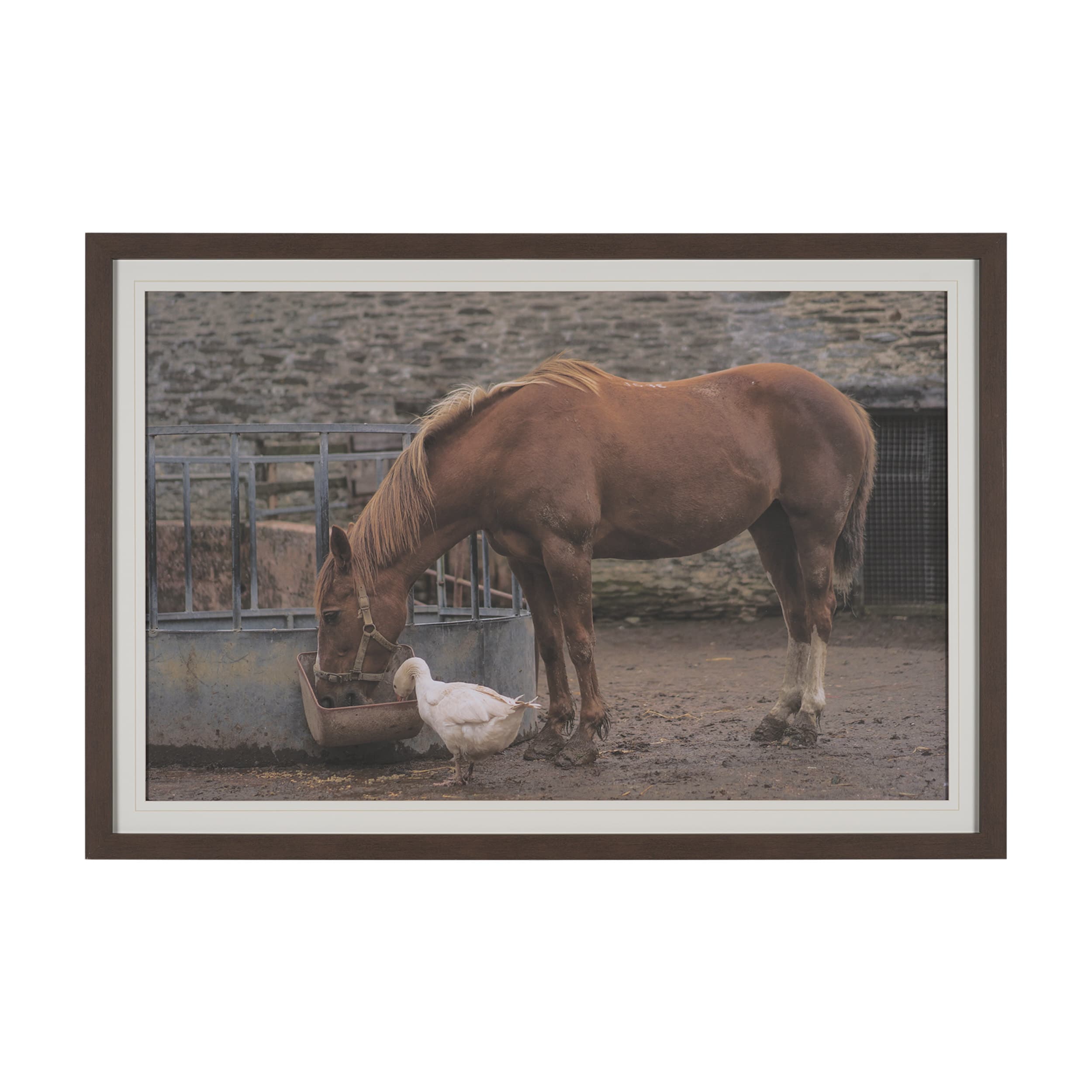 Sharing Lunch by Gert van den Bosch FramedPhoto Print Matted under Glass — product photograph