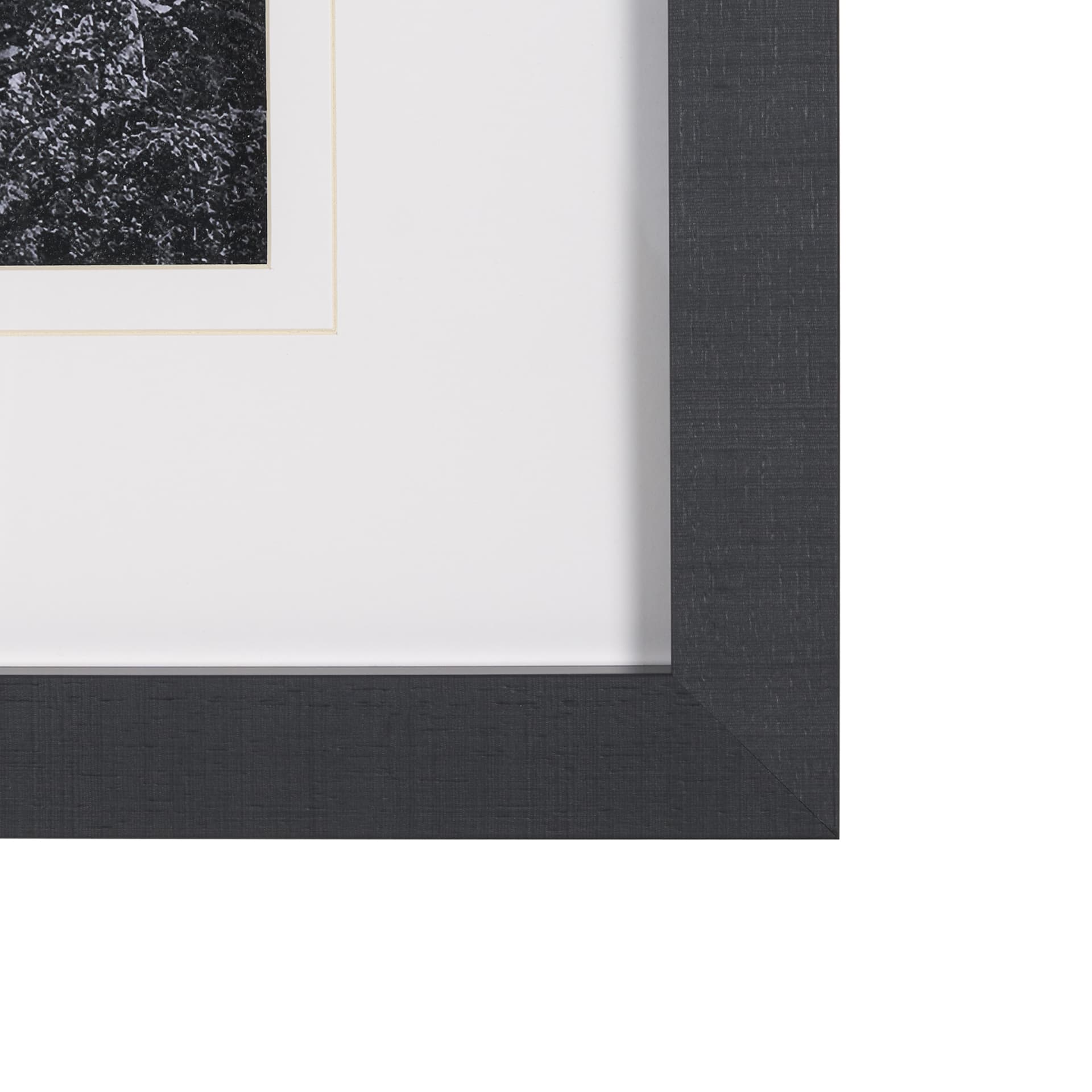 On The Ranch Cactus I by Norm Stelfox Hand Embelished Textured Framed Photo Art Print Matted under G — product photograph