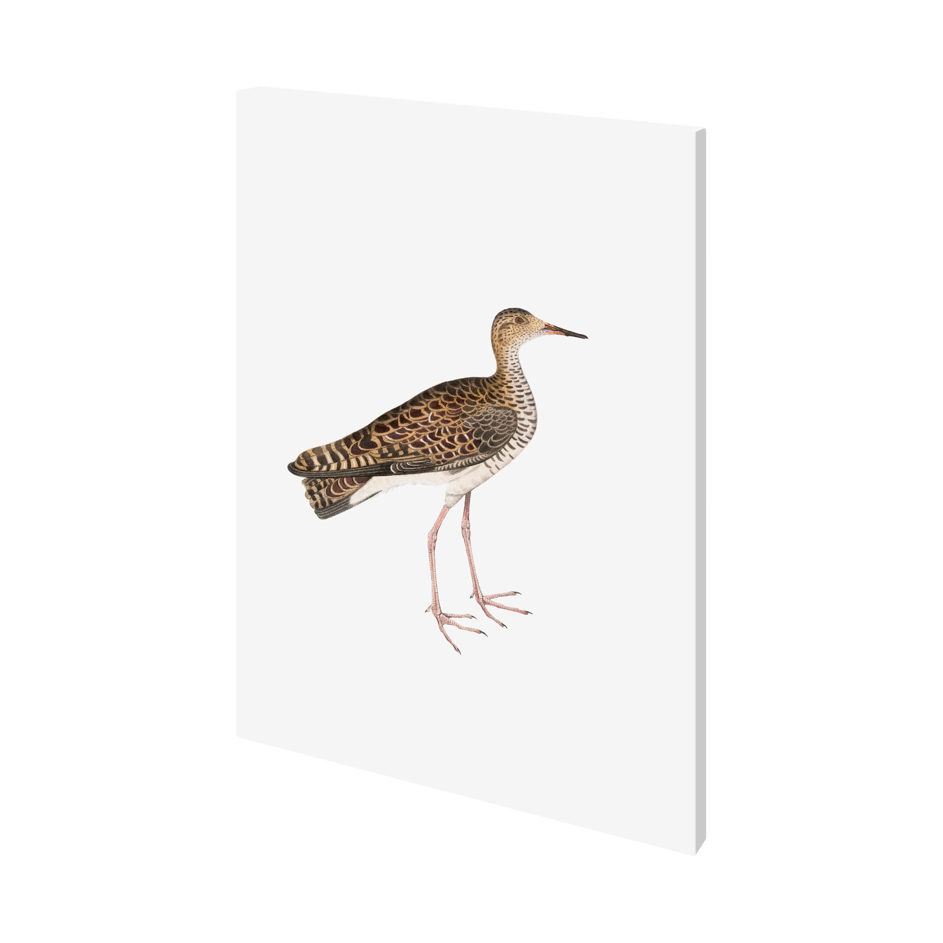 Bhegondee Snipe by Maria Mendez a Hand Embellished Textured Canvas — product photograph