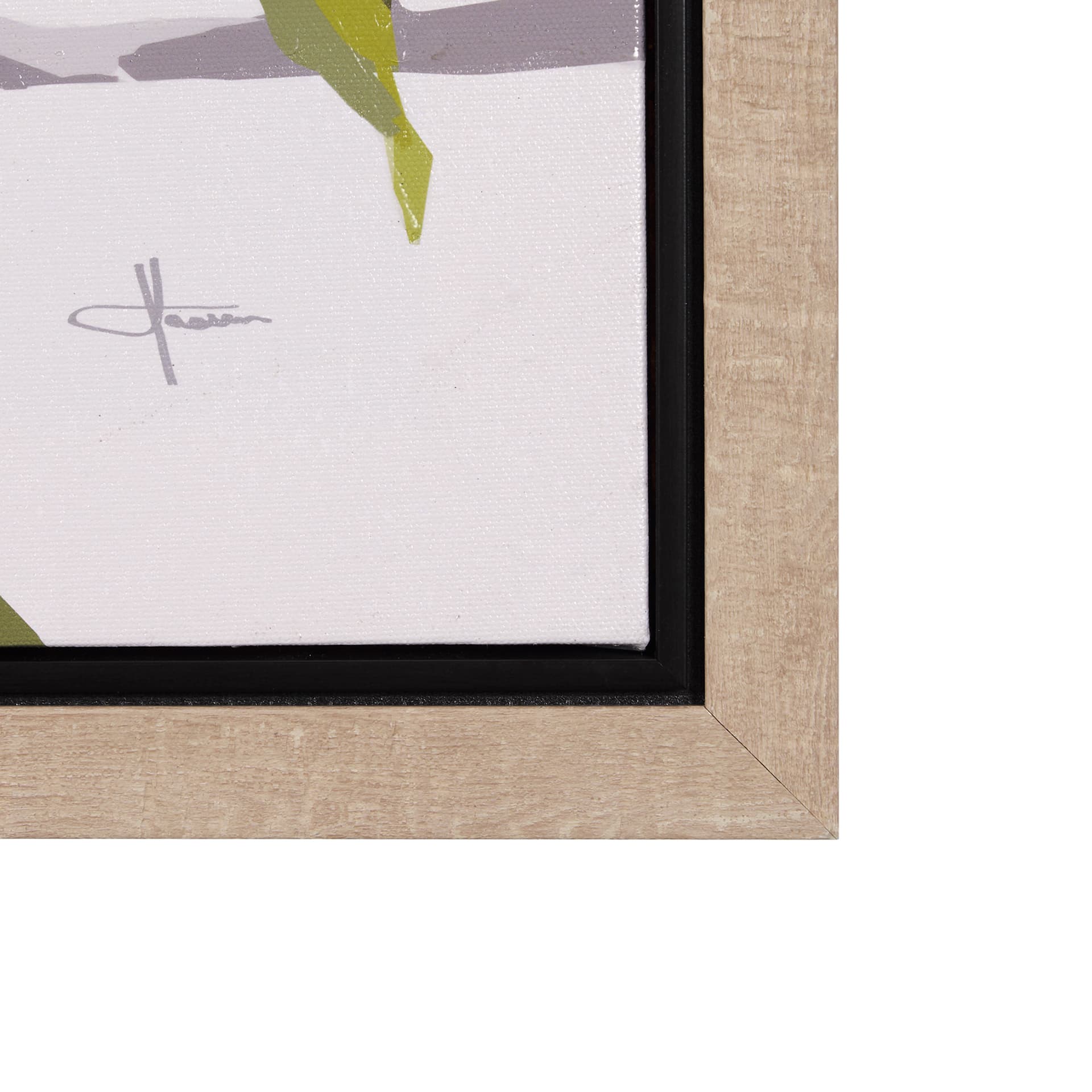 Birds & Apples I by Mercana Studio a Hand Embellished Textured Framed Canvas — product photograph
