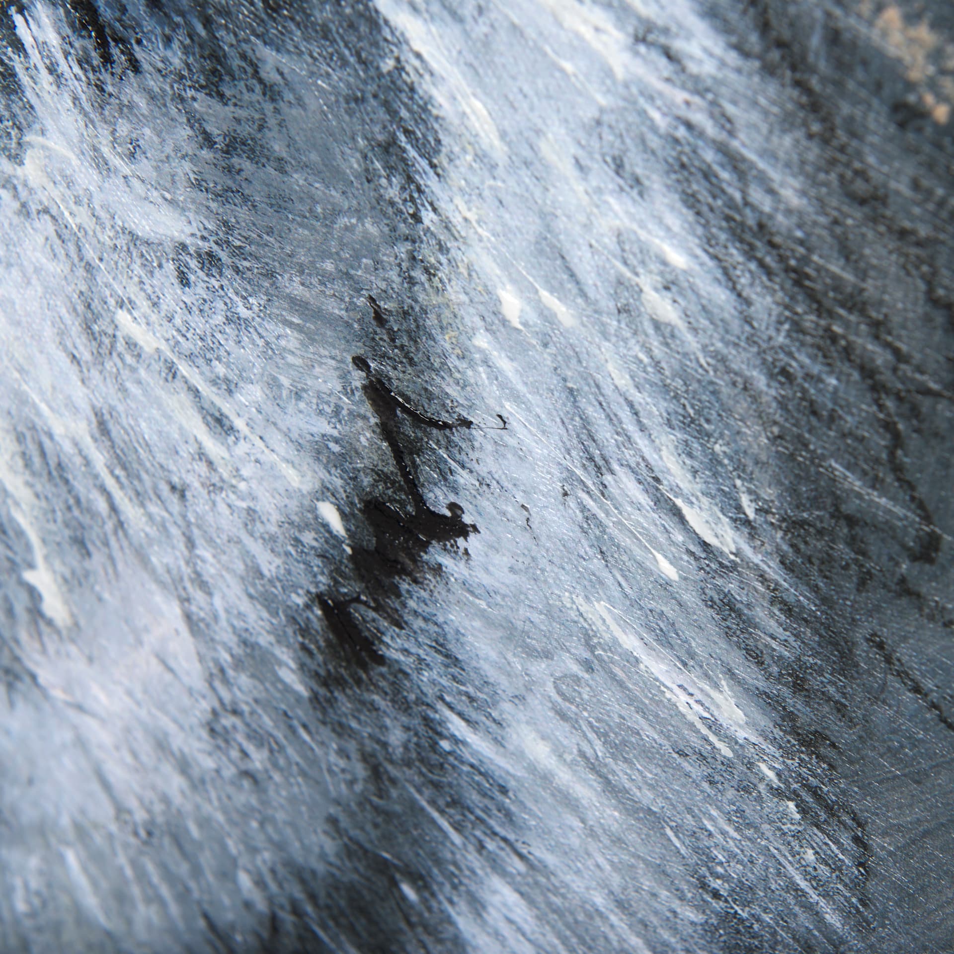 Animal Portrait II by Mercana Studio a Hand Embellished Textured Canvas — product photograph