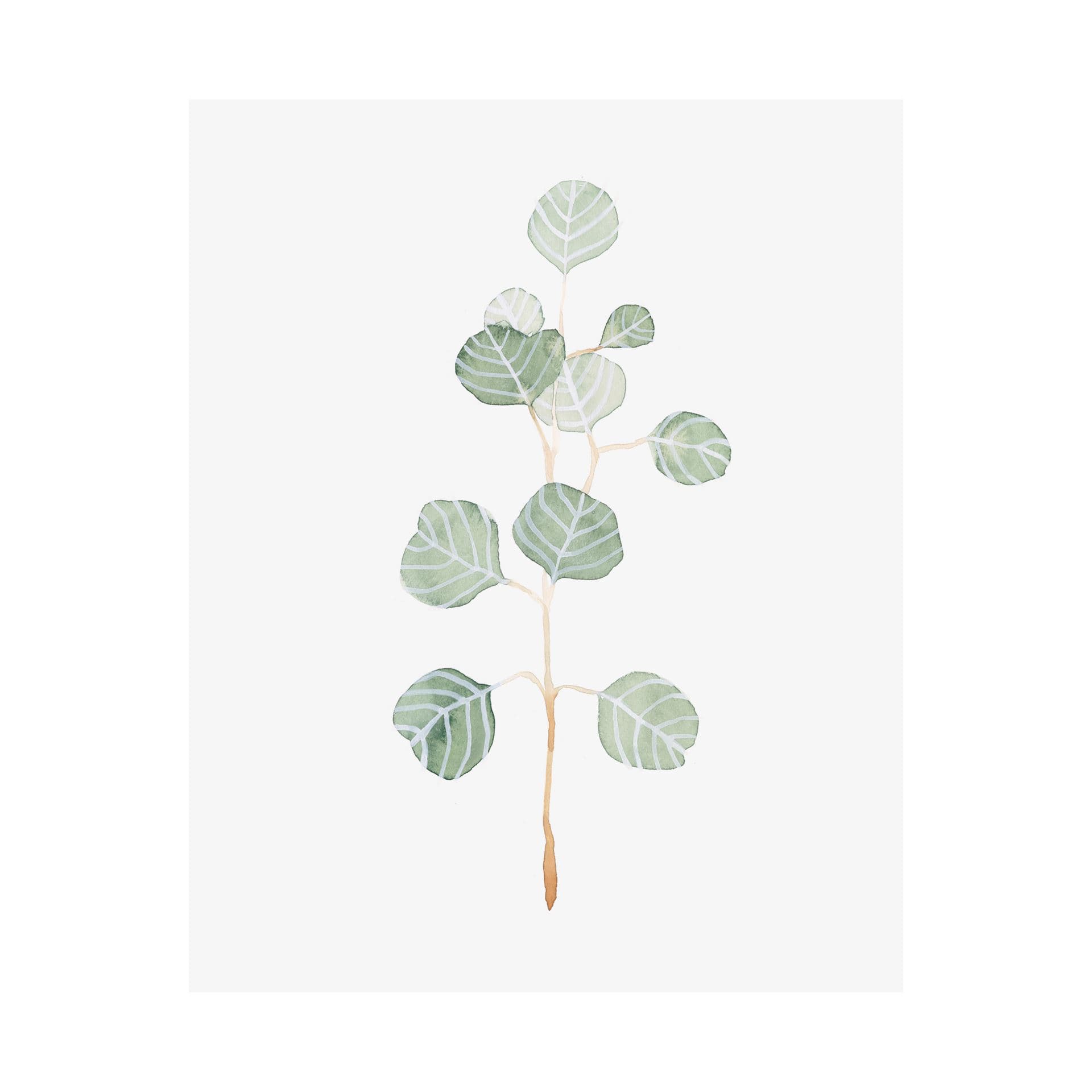 Soft Eucalyptus Branch II by Emma Scarvey a Hand Embellished Textured Canvas — product photograph