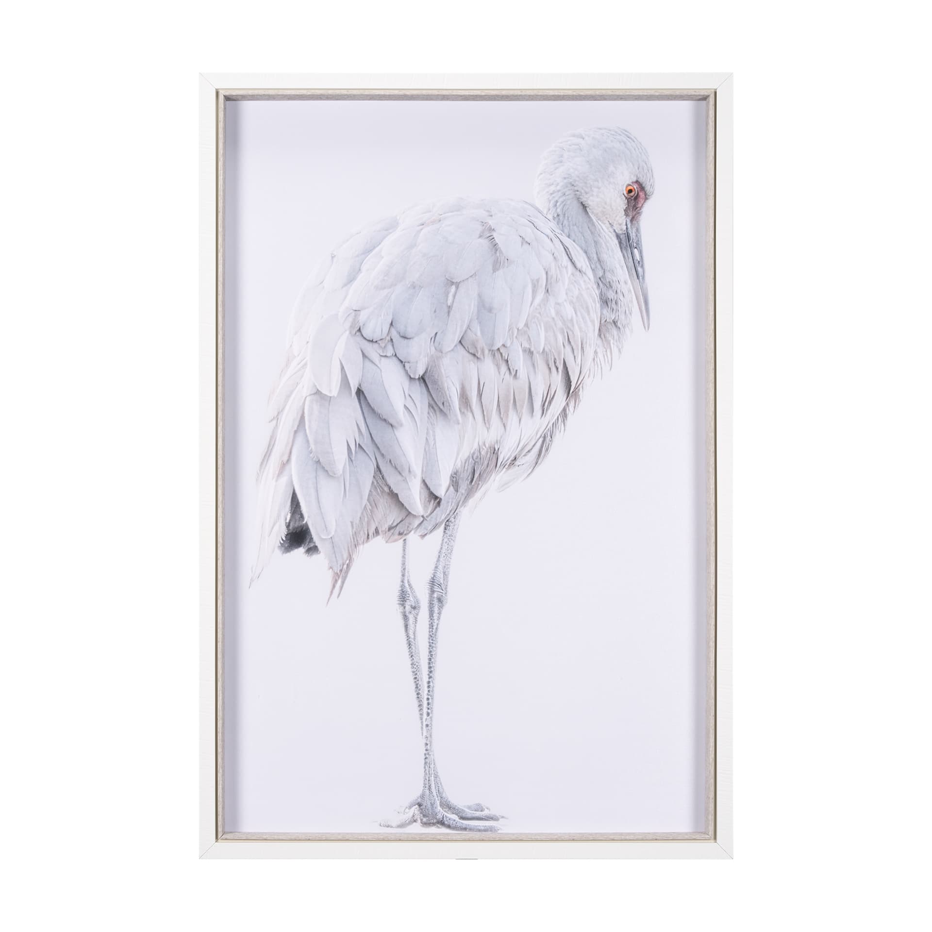 Sandhill Crane II by Chad Mckay a Hand Embelished Textured Framed Photo Art Print — product photograph