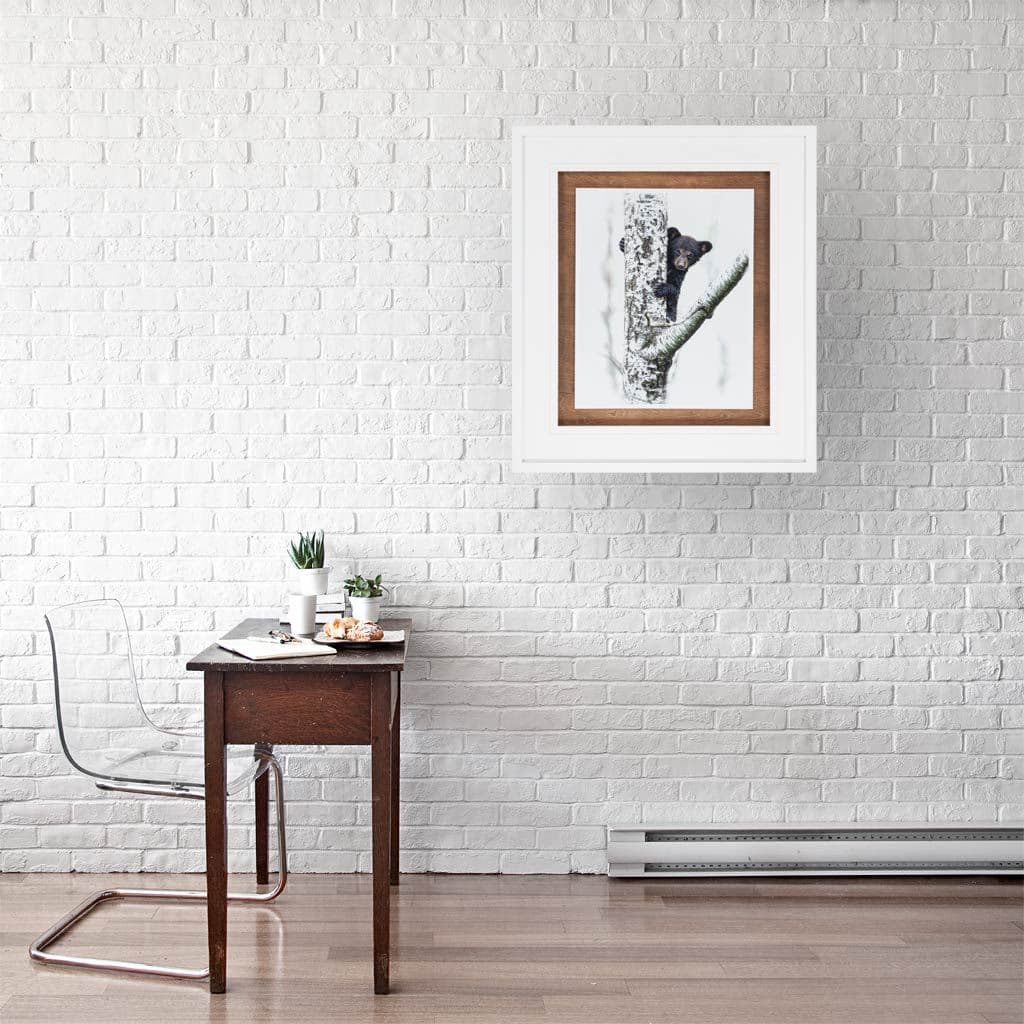 Bears at Play V by PHBurchett a Framed Photo Art Print Matted under Glass — product photograph