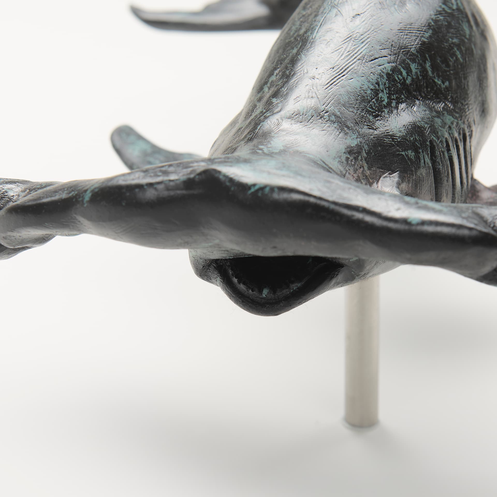 Acus 18H Small Hammerhead Shark Resin Wall Decor — product photograph