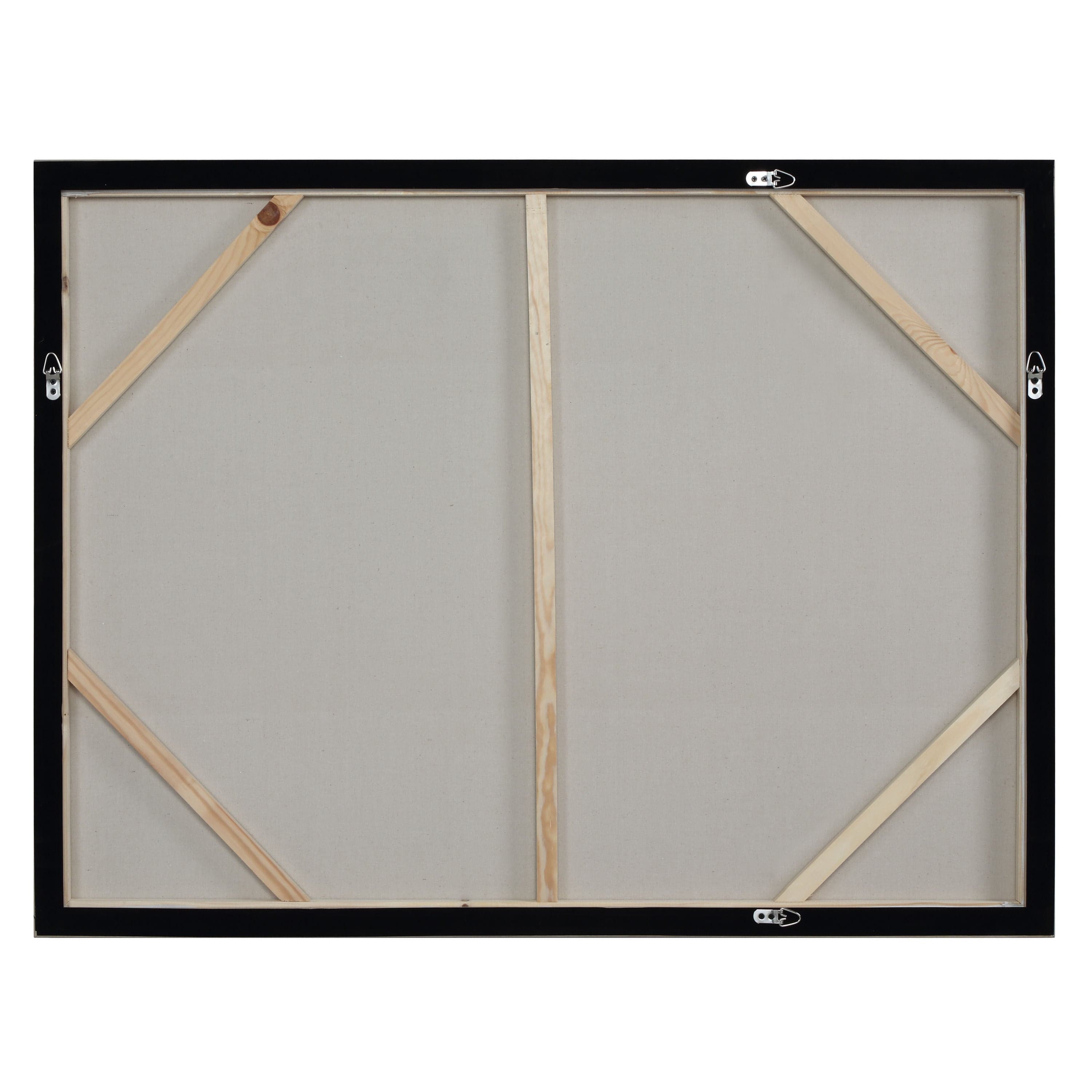 Bellis — product photograph