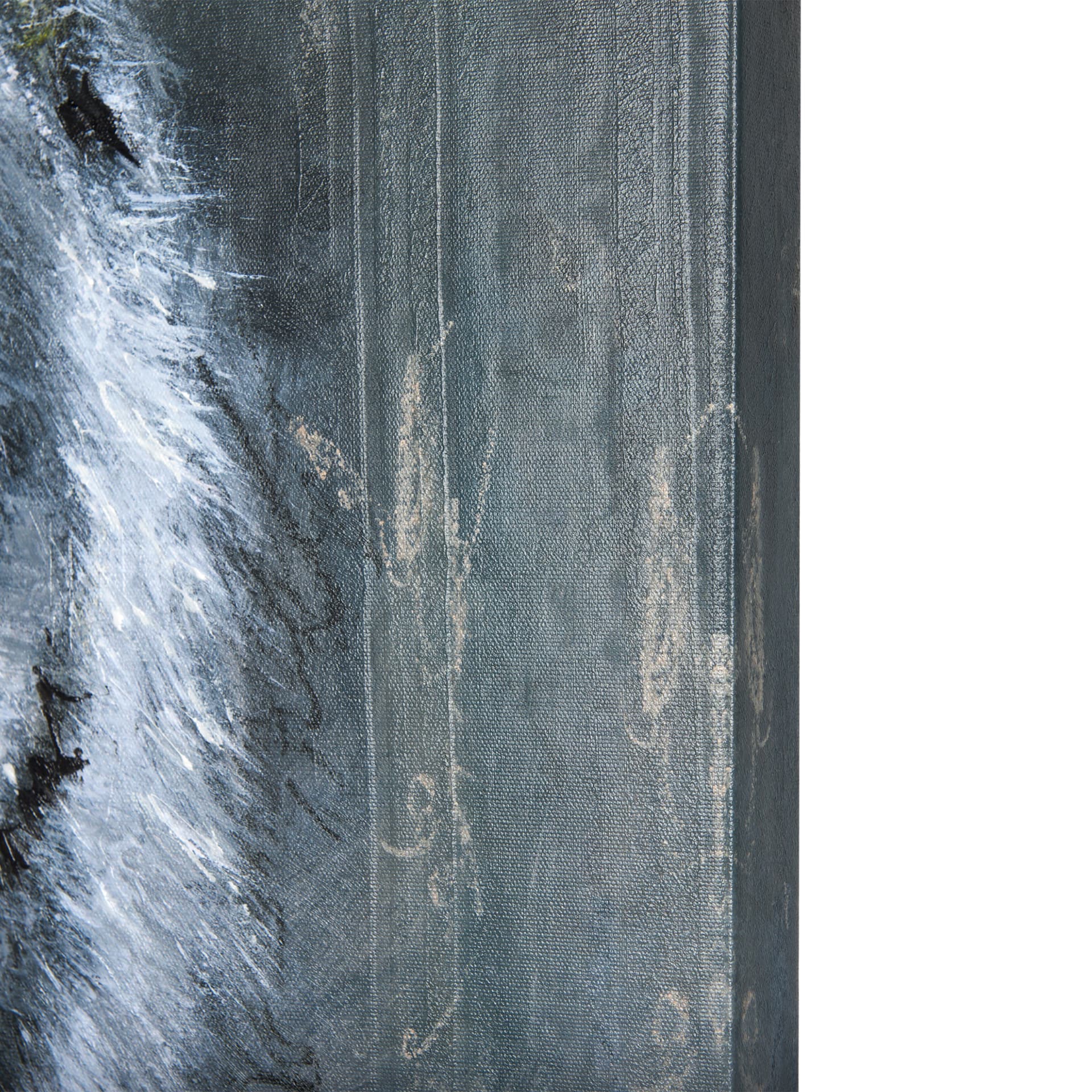 Animal Portrait II by Mercana Studio a Hand Embellished Textured Canvas — product photograph