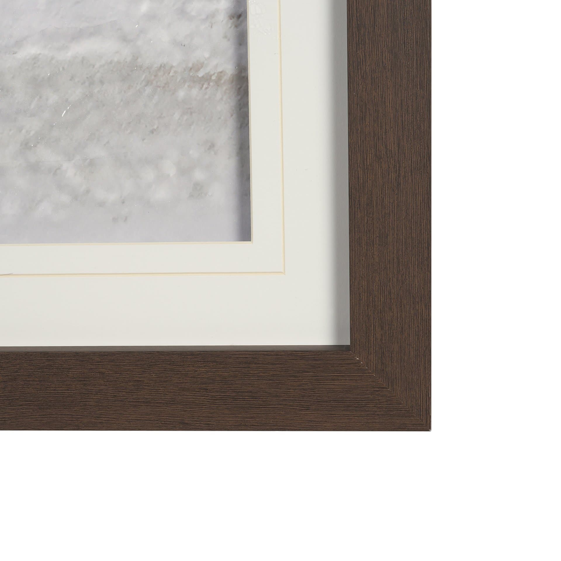 Determination Horse(Set of 2) by Irene Sucocki a Hand Embellished Framed Art Photo Print under Glass — product photograph