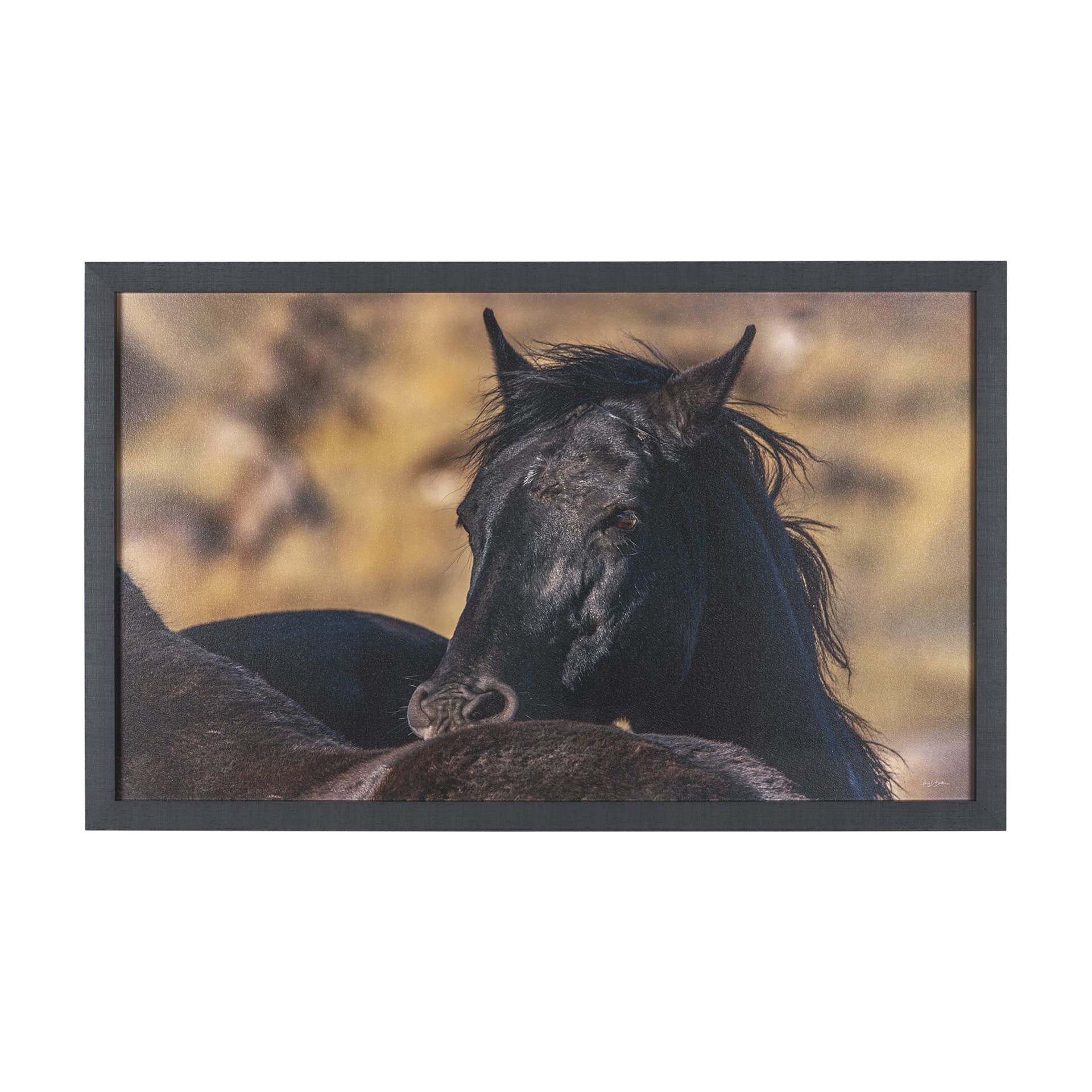 Wild Horses by Gary Blatter a Hand Embellished Textured Framed Photo Art Print — product photograph