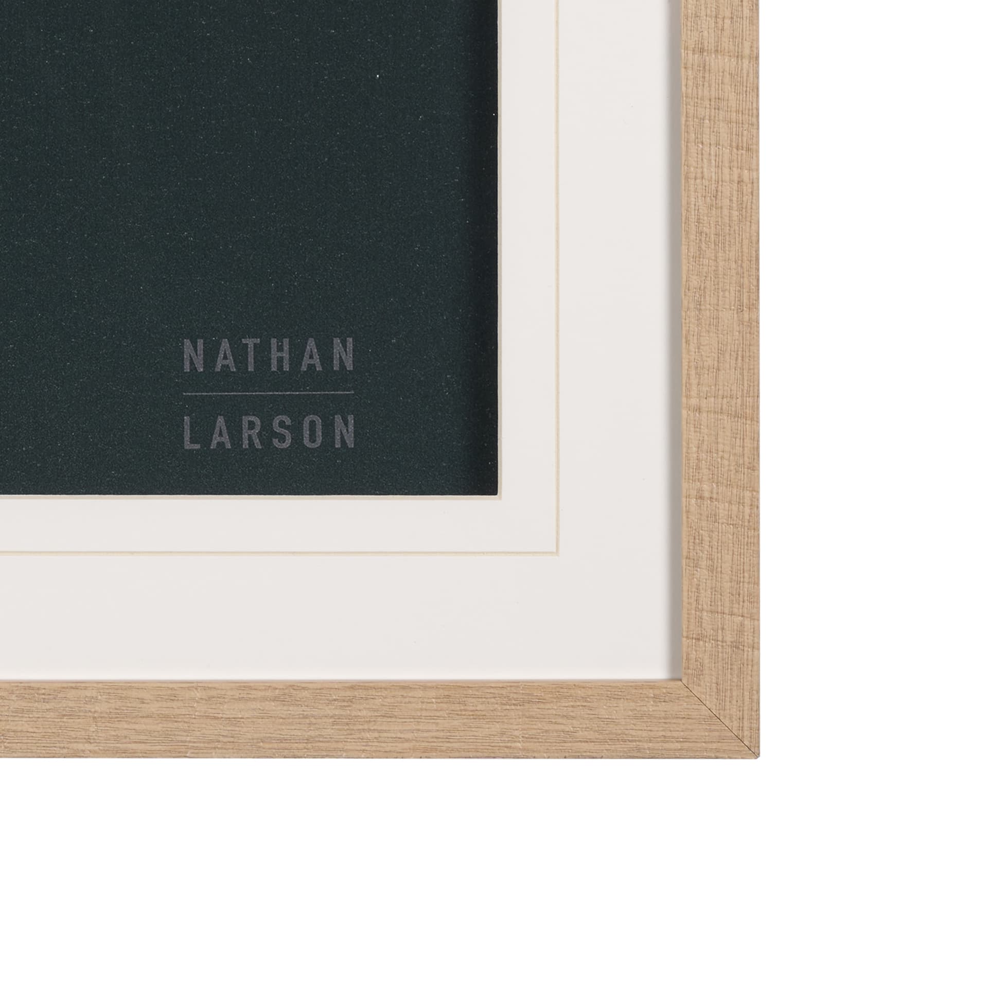 Wild Blooms II by Nathan Larson a Hand Embellished Framed Photo Art Print Matted under Glass — product photograph