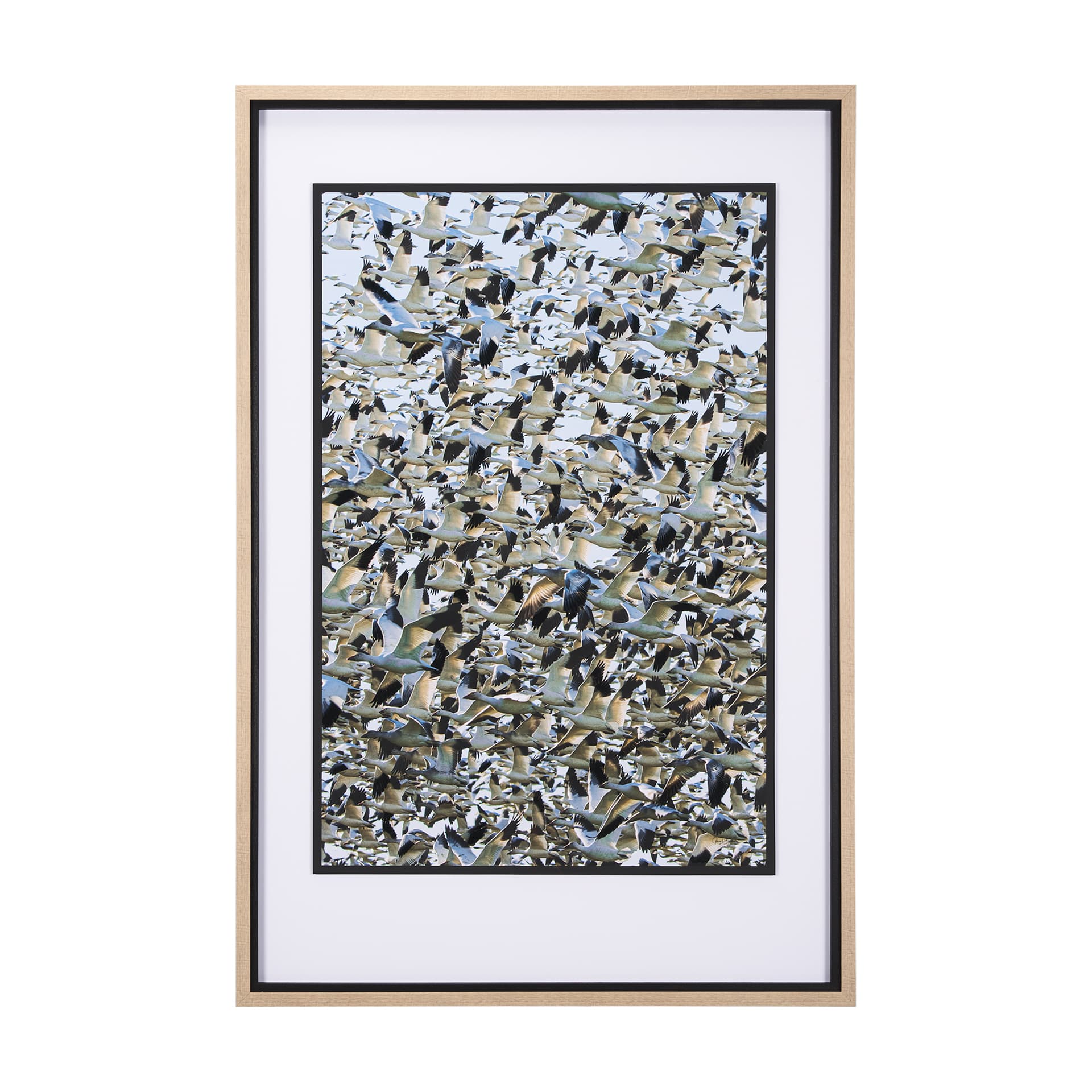 Snowgoose Migration 1 by Gary Blatter Hand Embellished Textured Framed Art Print Matted under Glass — product photograph