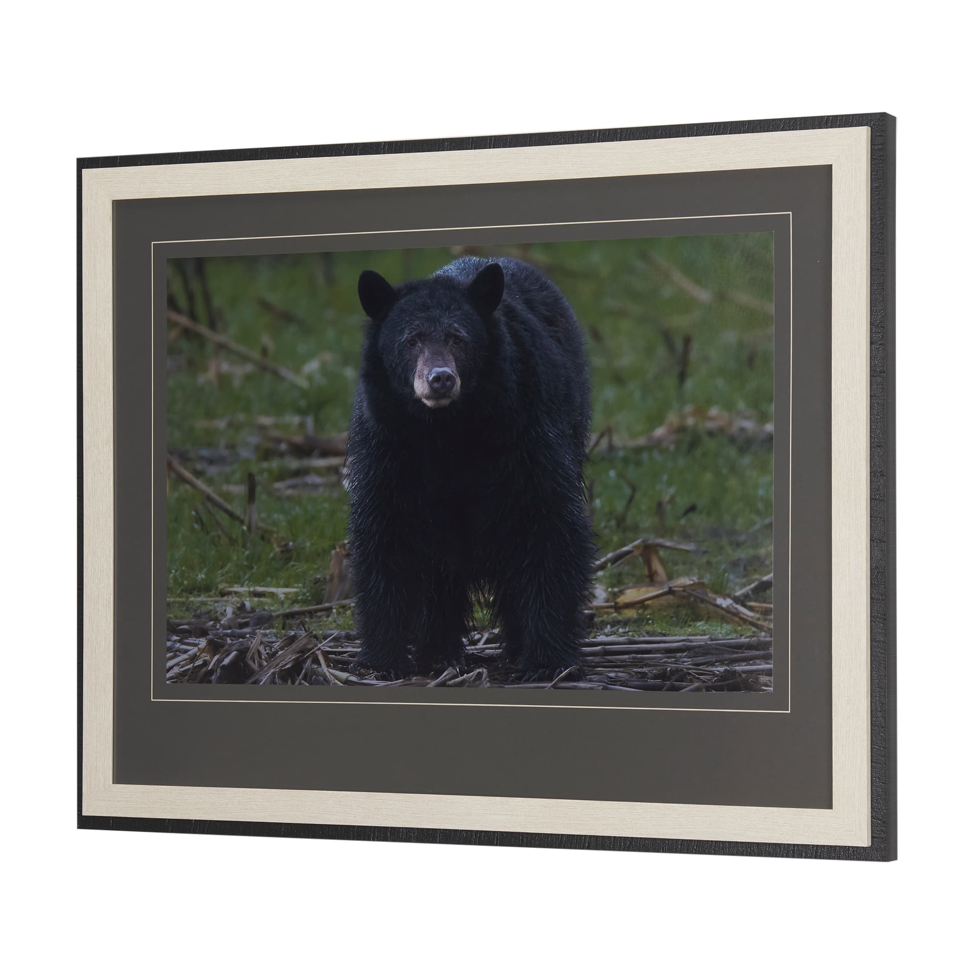Standing Bear by Chad Mackay a Hand Embellished Textured Framed Photo Art Print Matted under Glass — product photograph