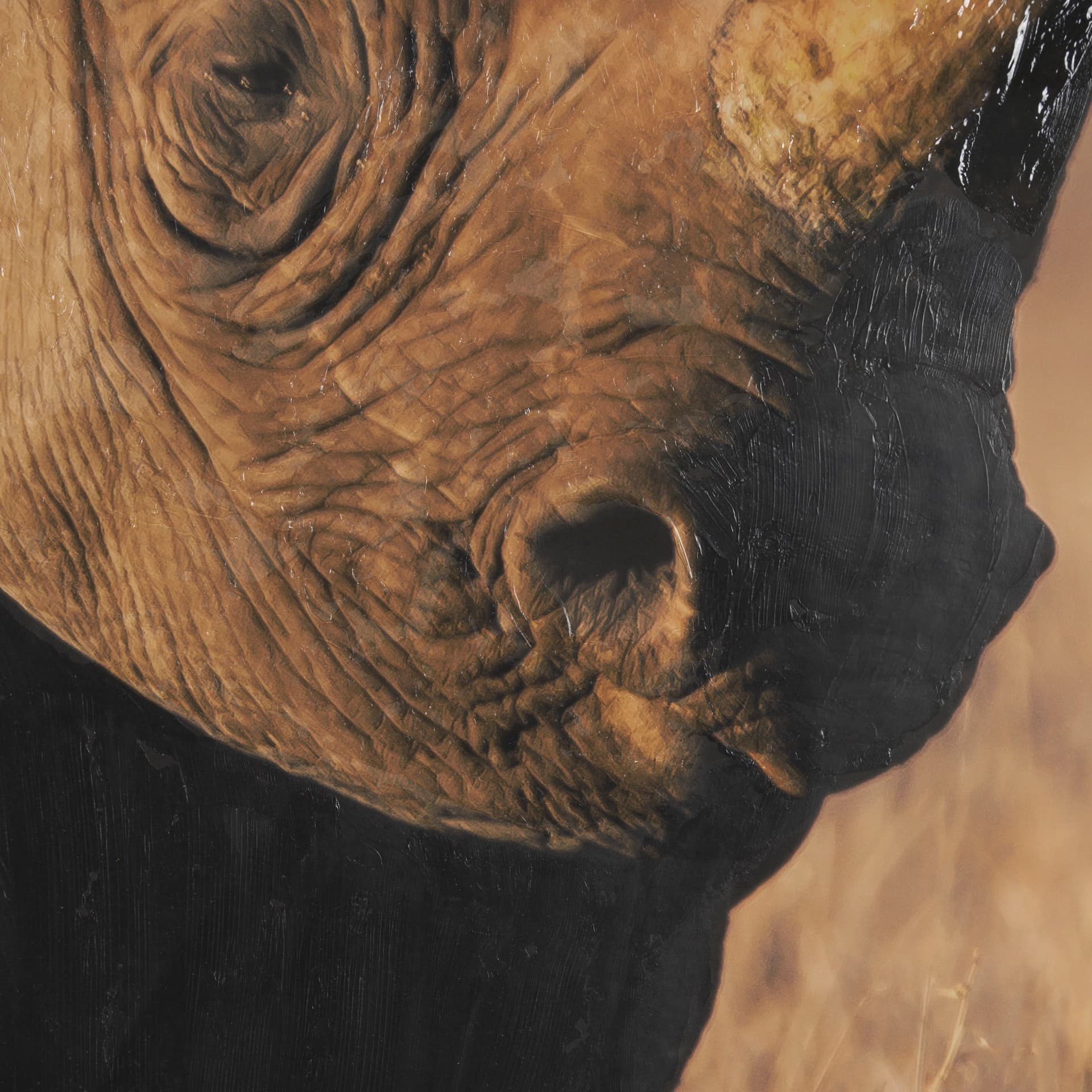 Kenyan Rhino by Max Blakesberg Studios a Hand Embellished Framed Photo Art Print Matted under Glass — product photograph