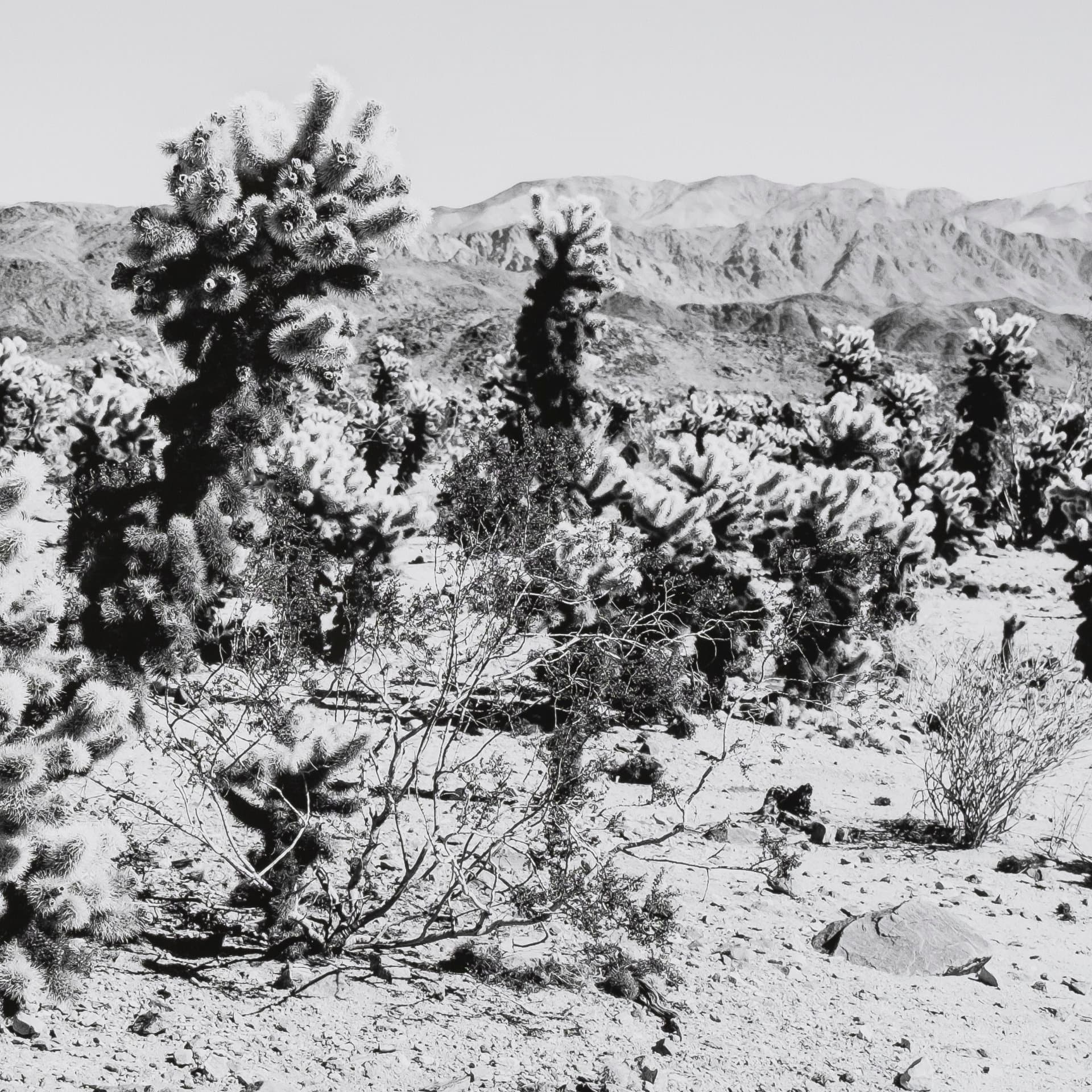 Road Trip III by Elizabeth Urquhart a Framed Photo Art Print Matted under Glass — product photograph