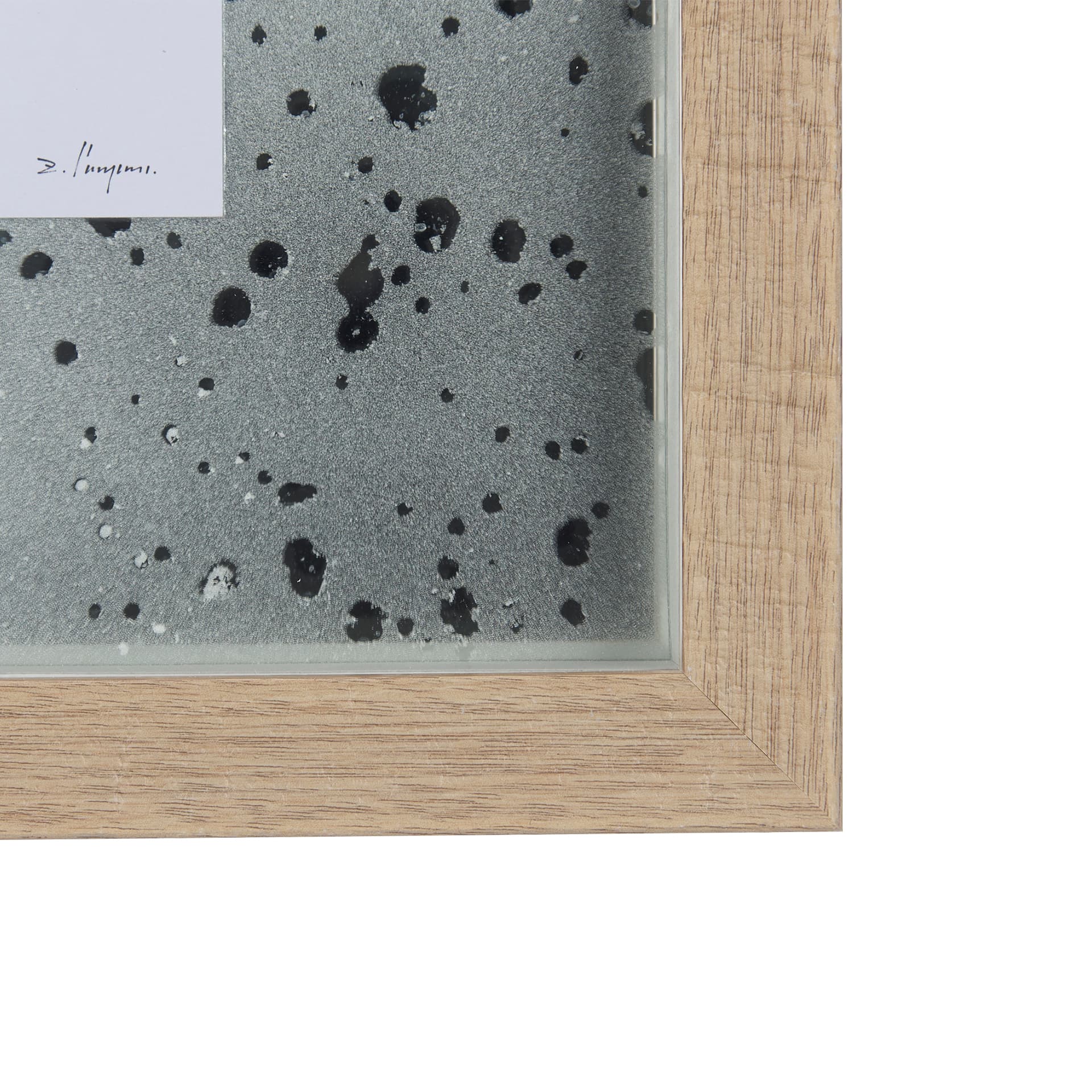 Cardinal I by Mercana Studio a Hand Embellished Textured Framed Art Print Matted under Glass — product photograph