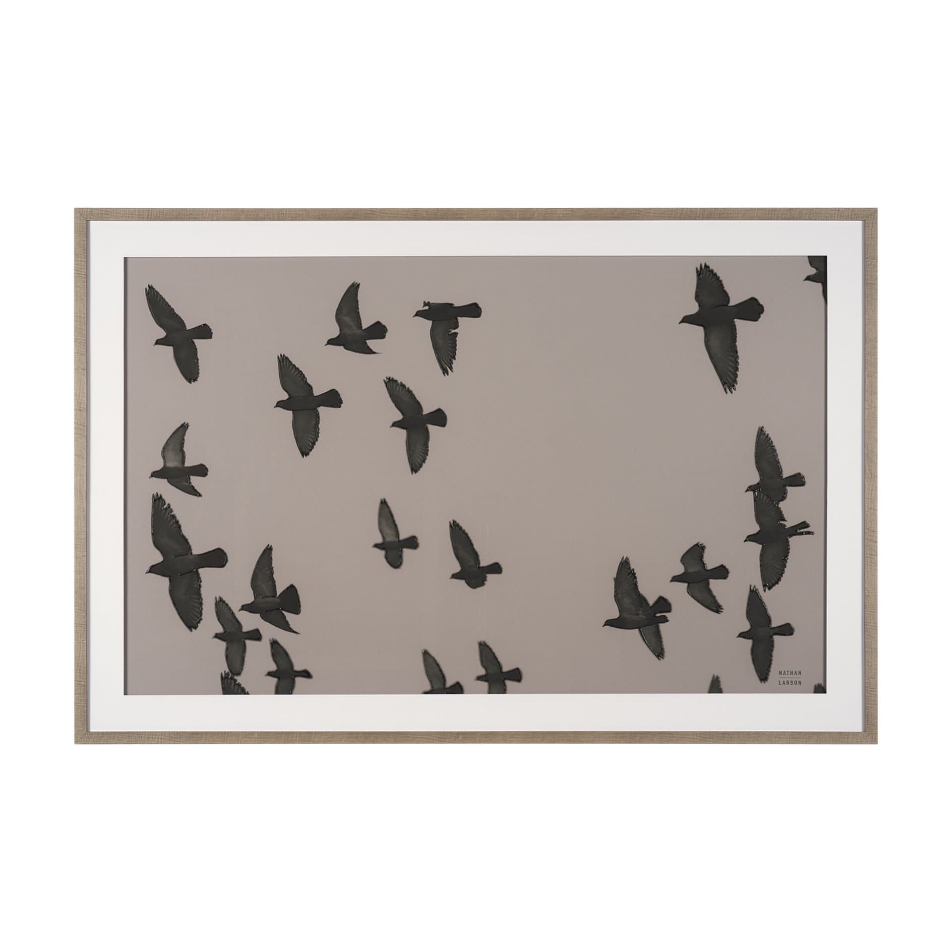 Flock I by Nathan Larson a Hand Embellished Framed Photo Print under Glass — product photograph