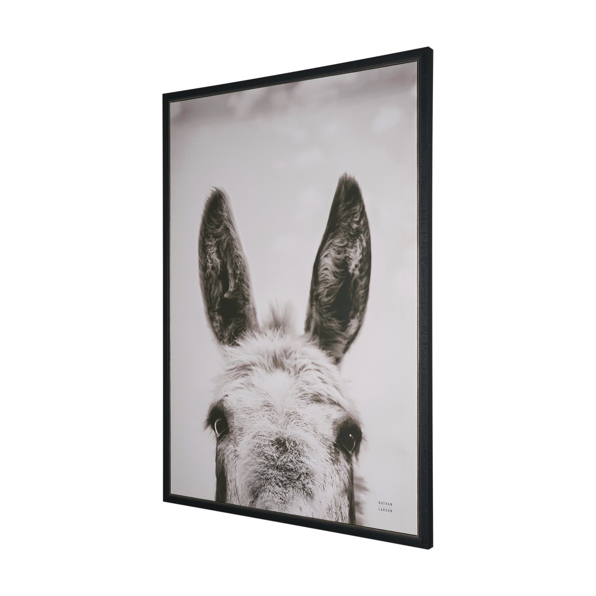 Downward Facing Donkey Sepia by Nathan Larson Textured Framed Canvas Photo Print — product photograph