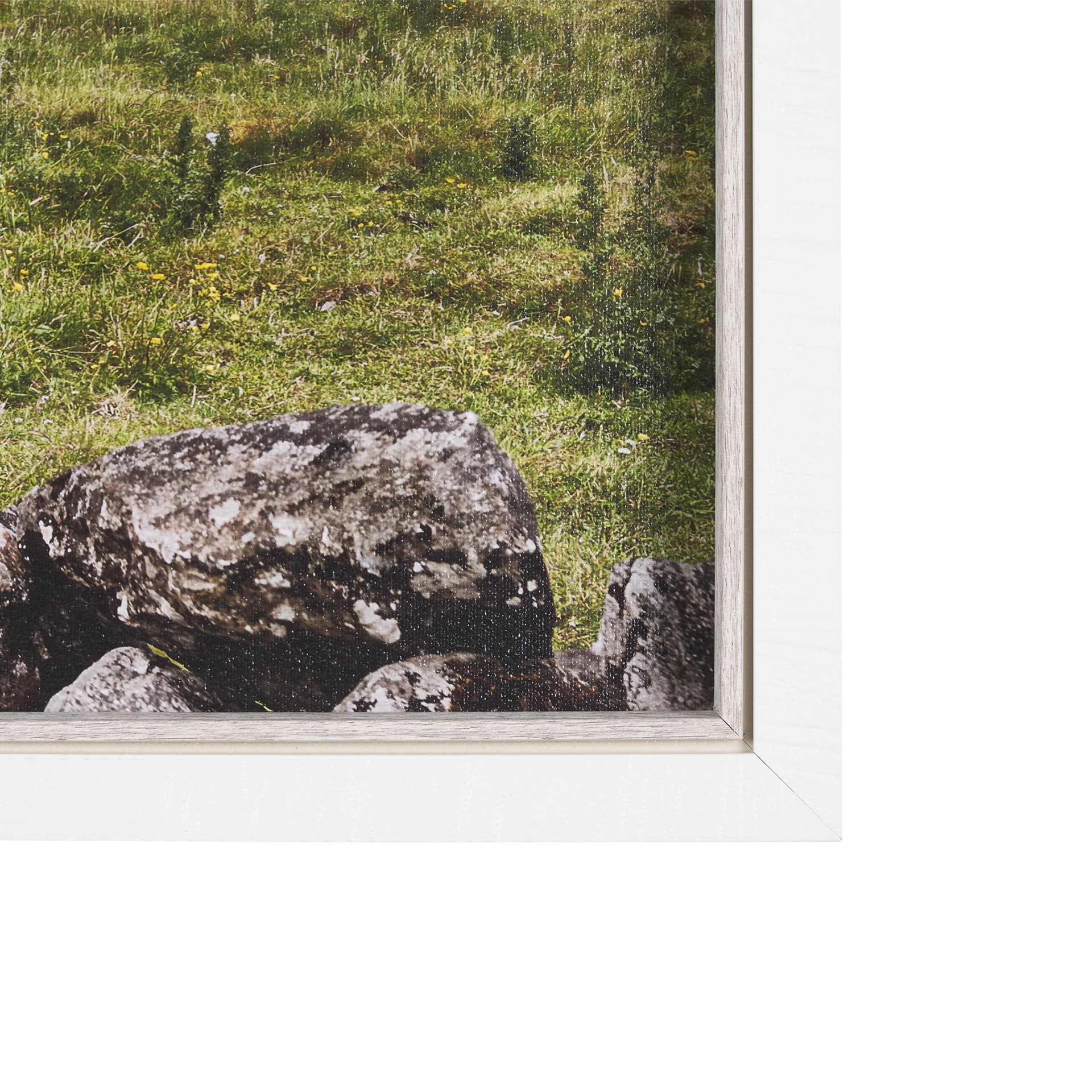 Just Let Me Scratch by Arabella Studios a Hand Embellished Textured Framed Photo Art Print — product photograph