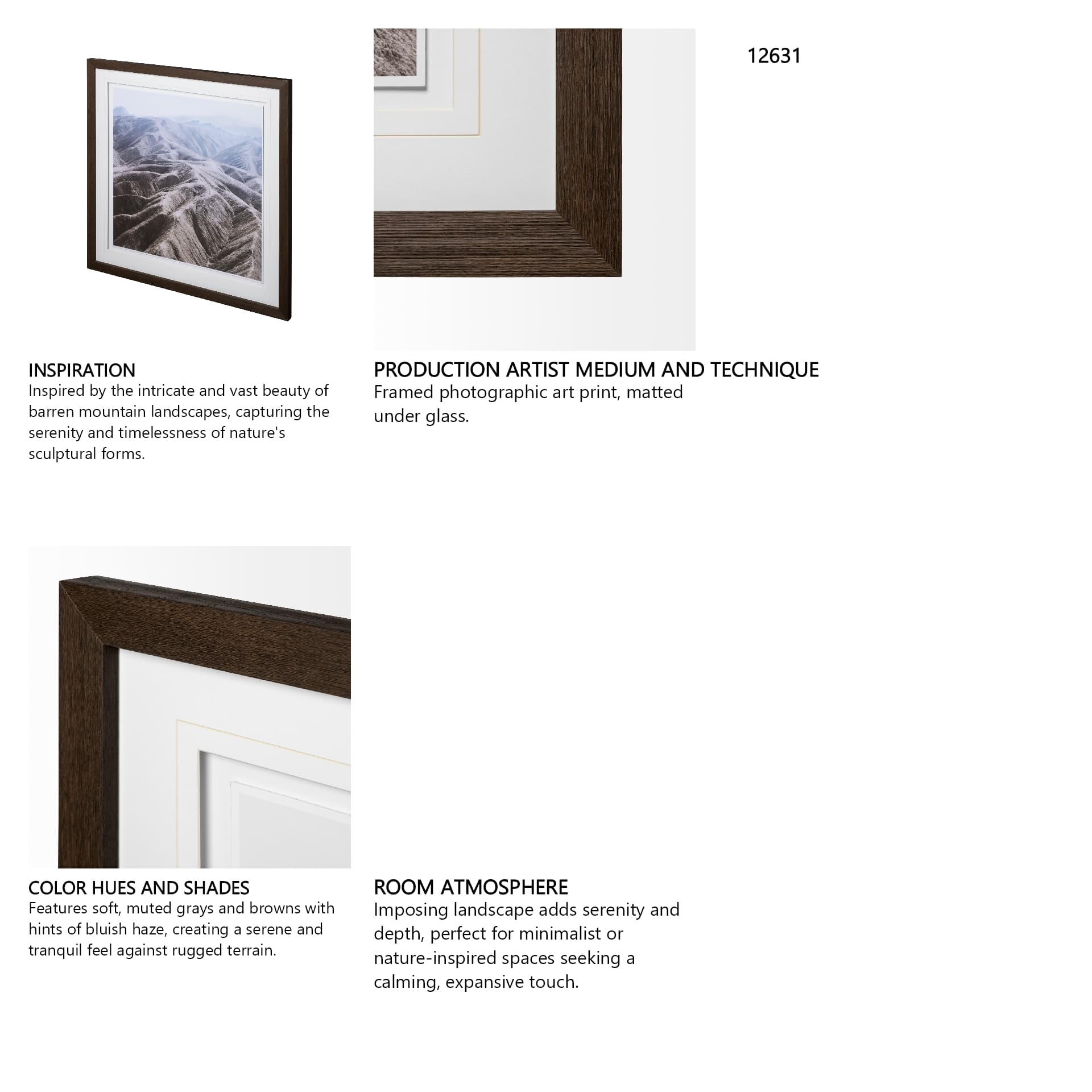 Death Valley Mountains by Dunker a Framed Photo Art Print Matted under Glass — in a styled room