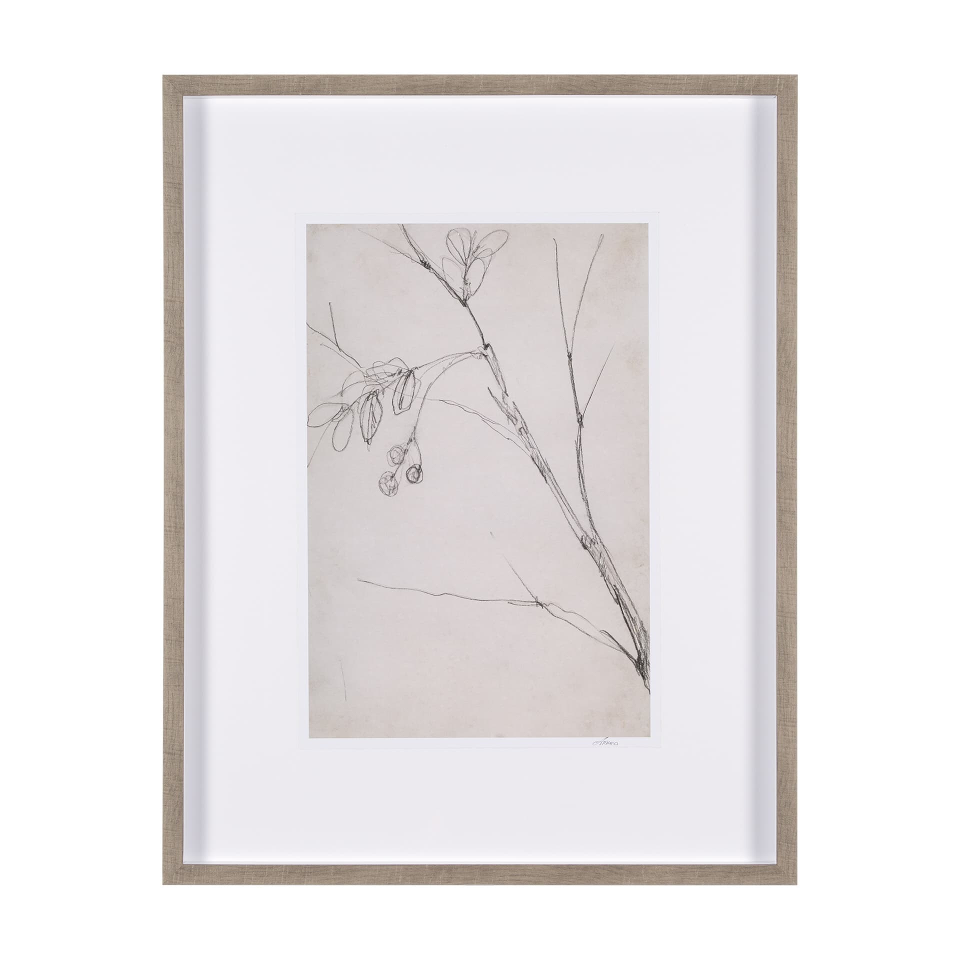 Chokecherry 3 by Mercana Studio a Hand Embellished Framed Art Print Matted under Glass — product photograph