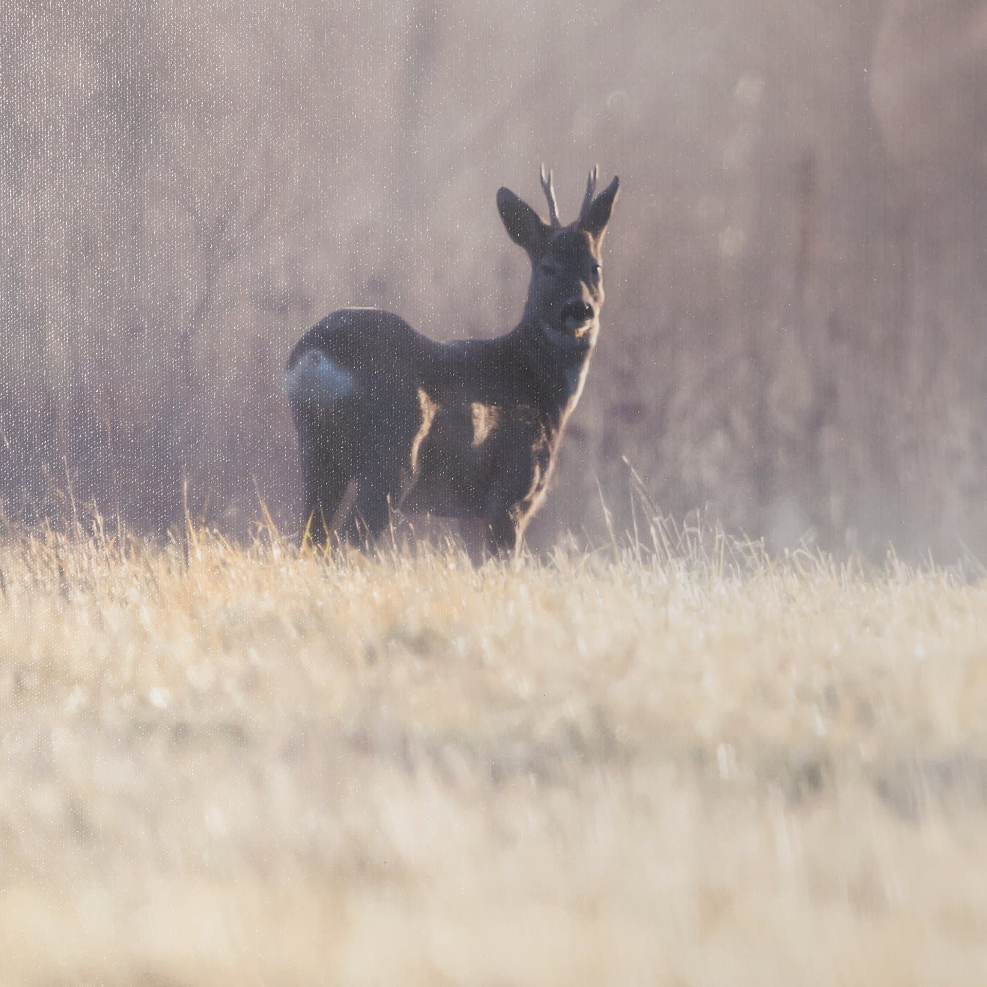Distant Duo by Andreas Stridsberg Framed Photo Print Matted under Glass — product photograph