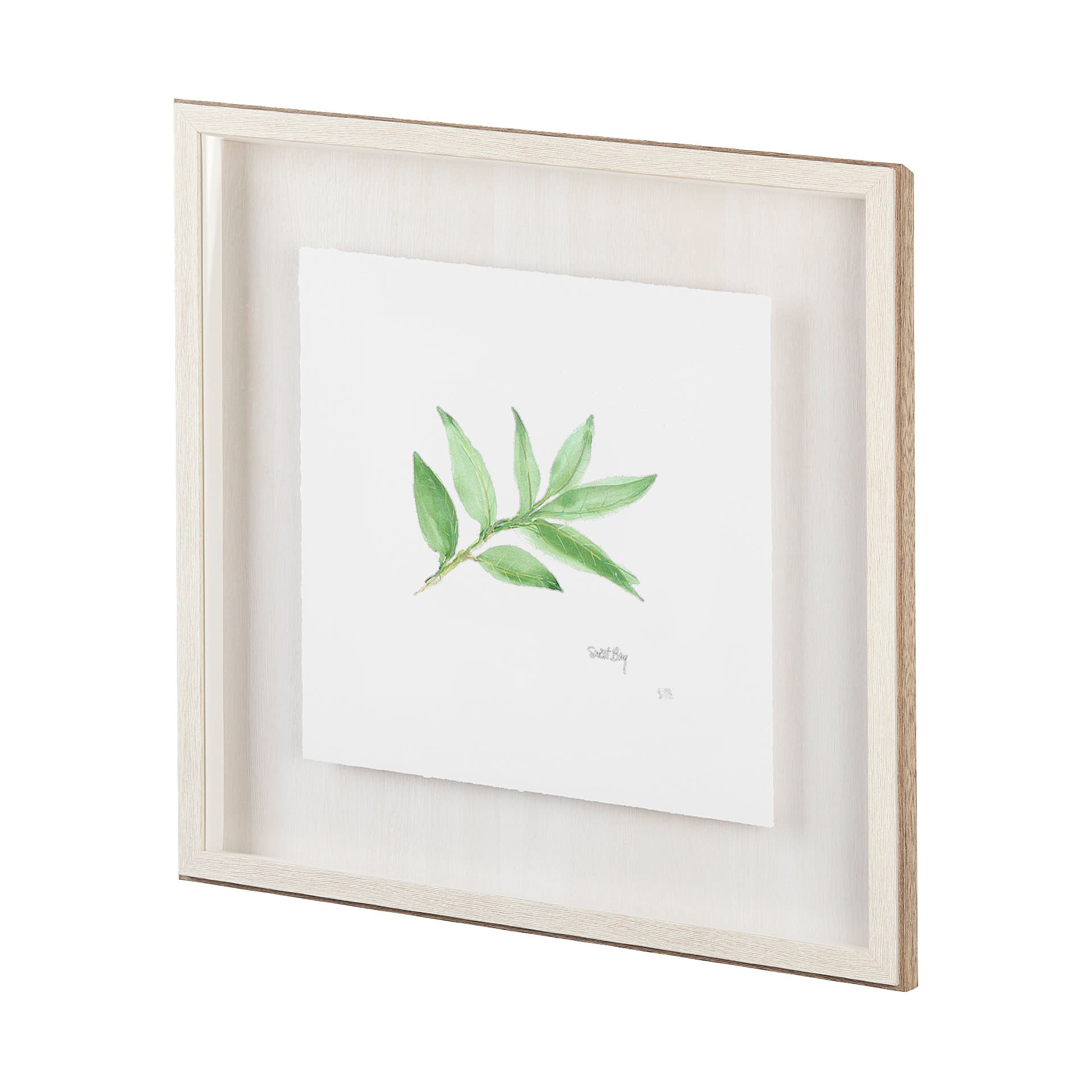 Sweet Bay v2 by Chris Paschke a Framed Art Print Matted under Glass — product photograph