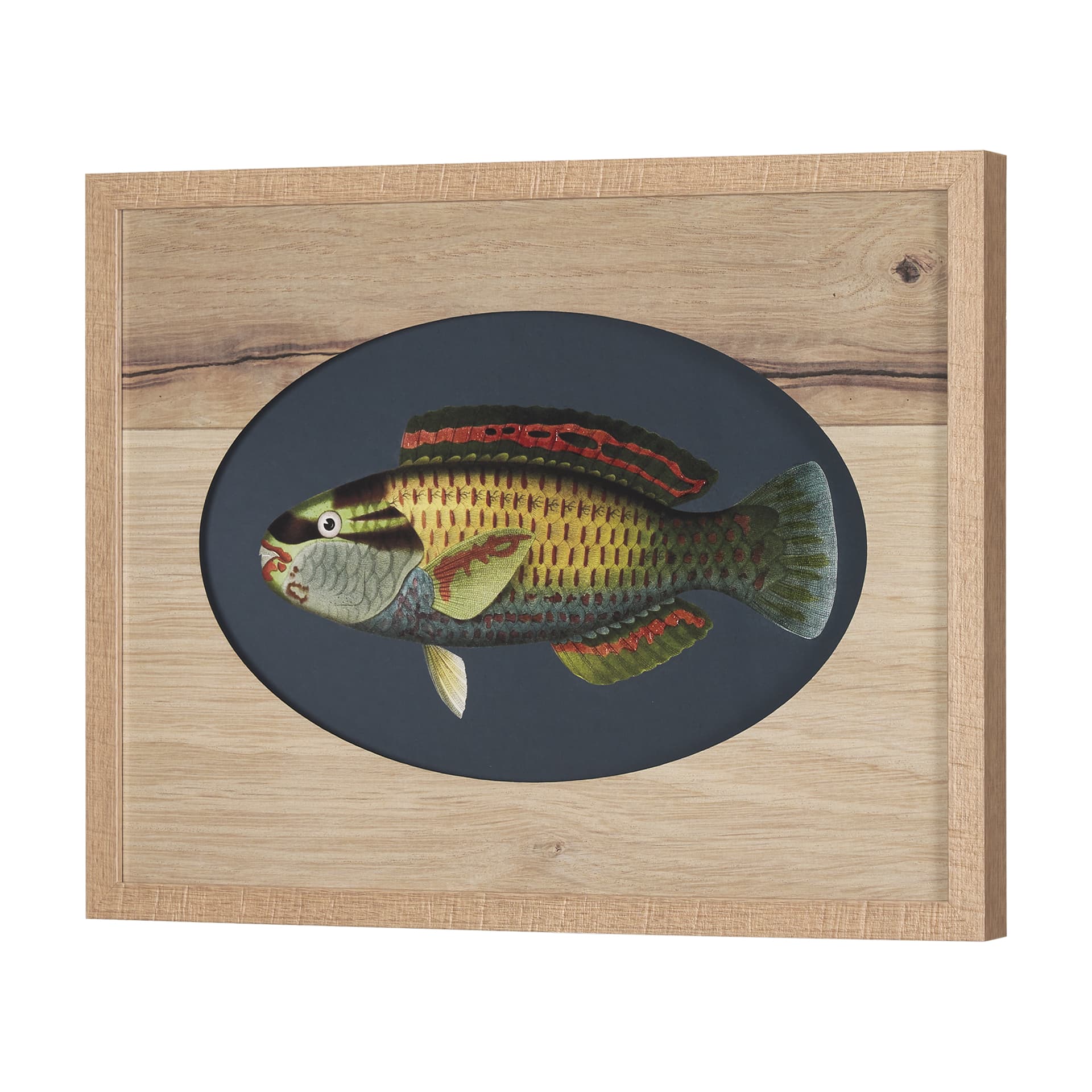 Scarus Ghobban by Mercana Studio a Hand Embellished Textured Framed Art Print Matted under Glass — product photograph