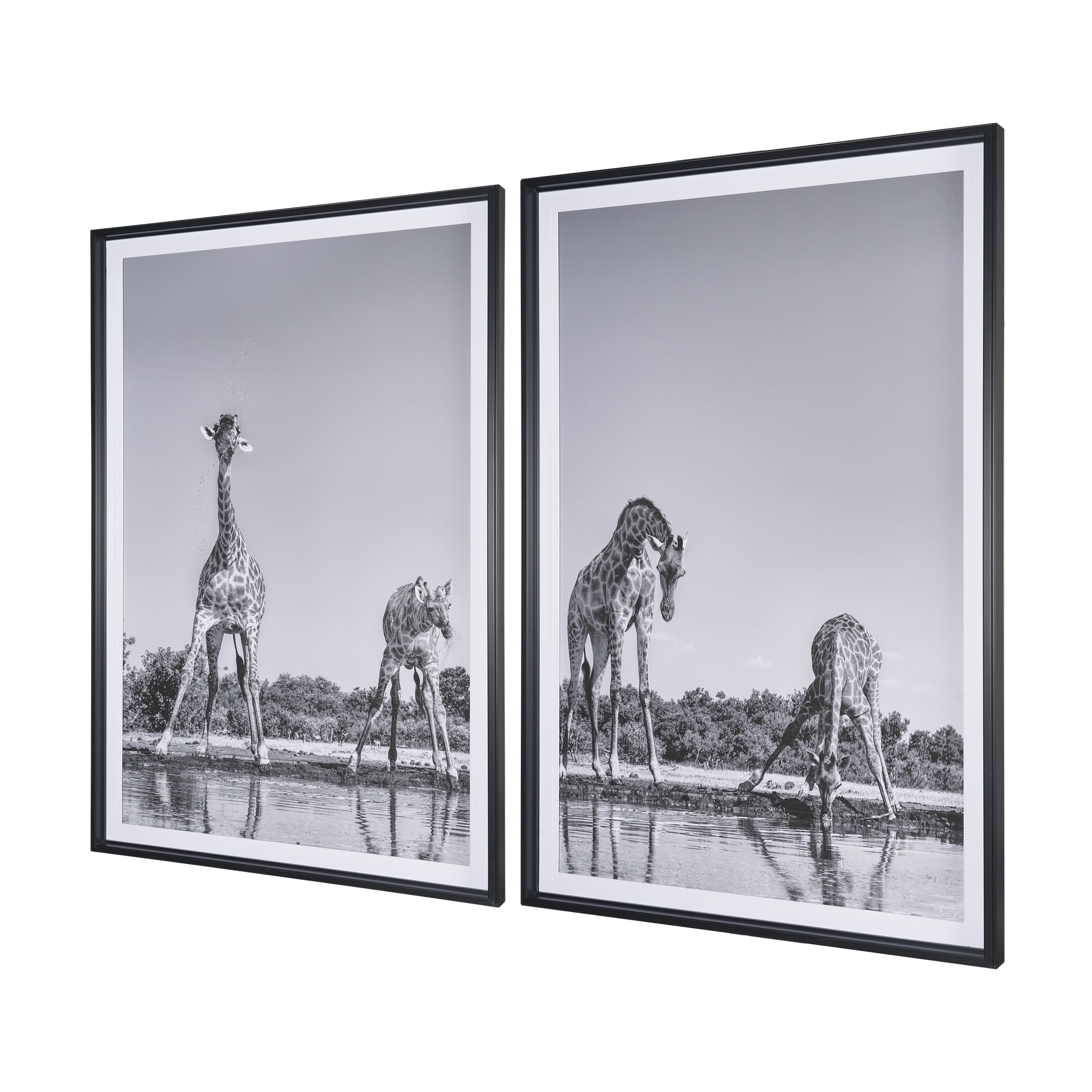 Thirsty Savanna Giraffes(Set of 2) by Jun Zuo Hand-Embellished Framed Photo Print Matted under Glass — product photograph