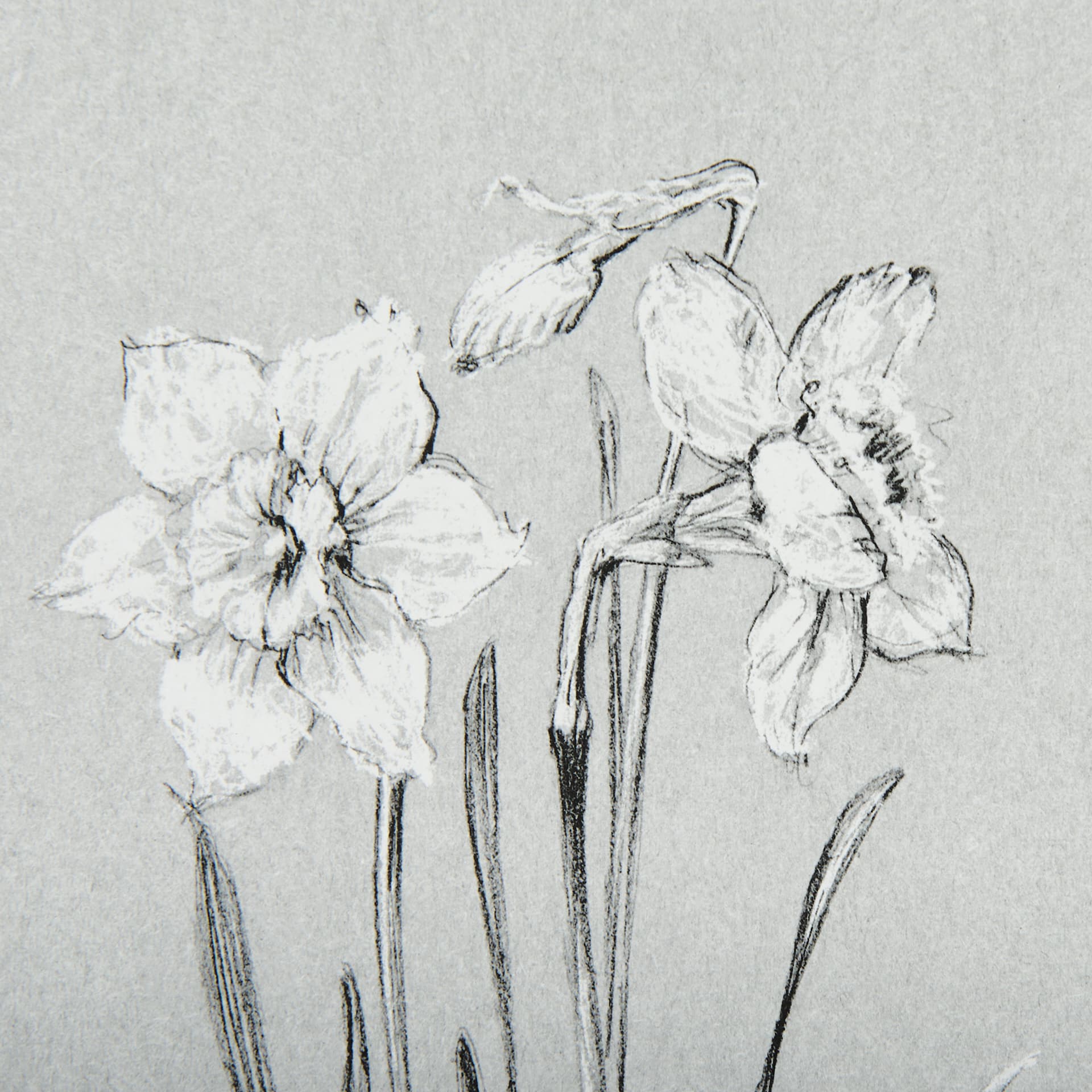 Botanical sketches II (Grey) by Mercana Studio Hand Embellished Framed Art Print Matted under Glass — product photograph