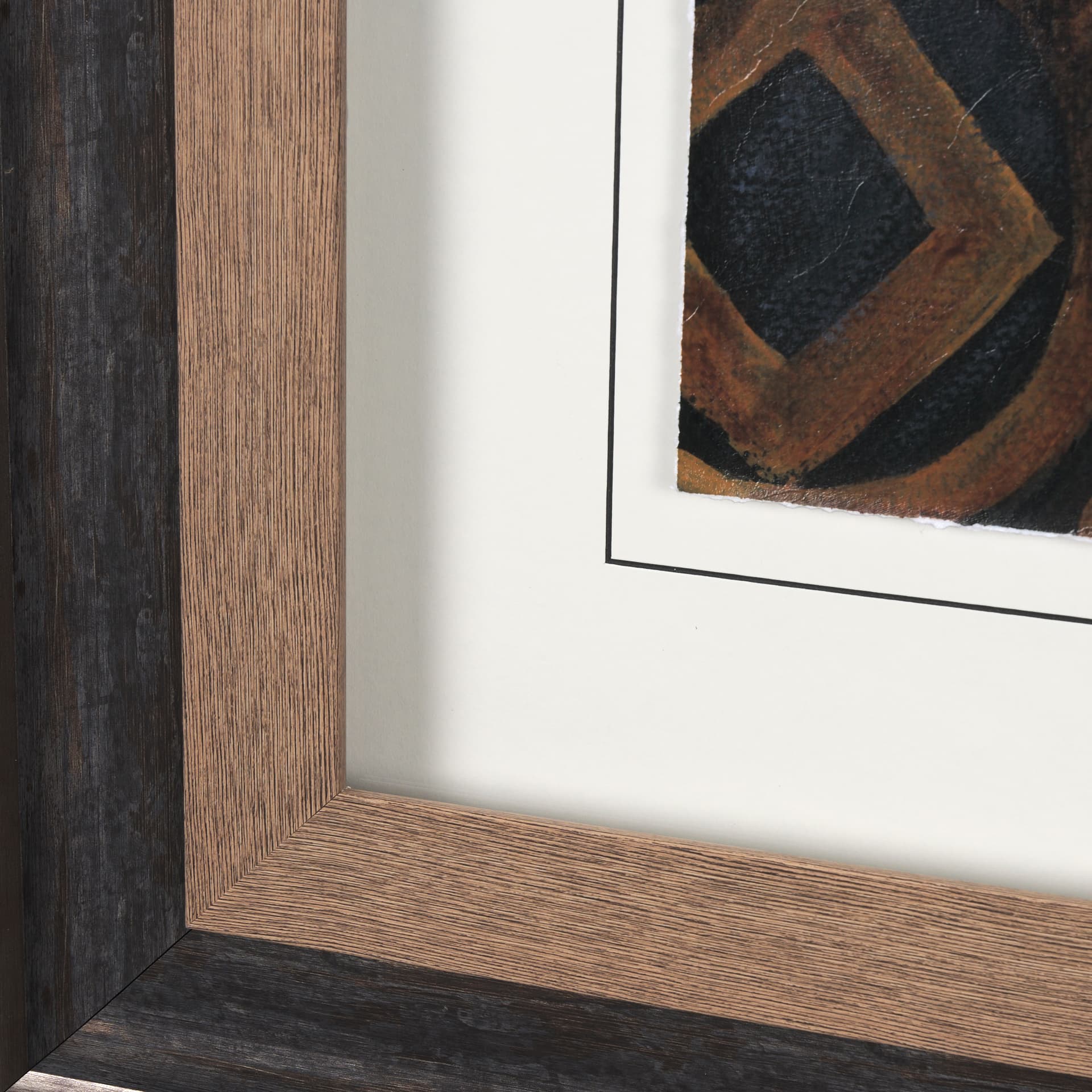 Graceful Poise III (Bay-Breasted Warbler) — product photograph