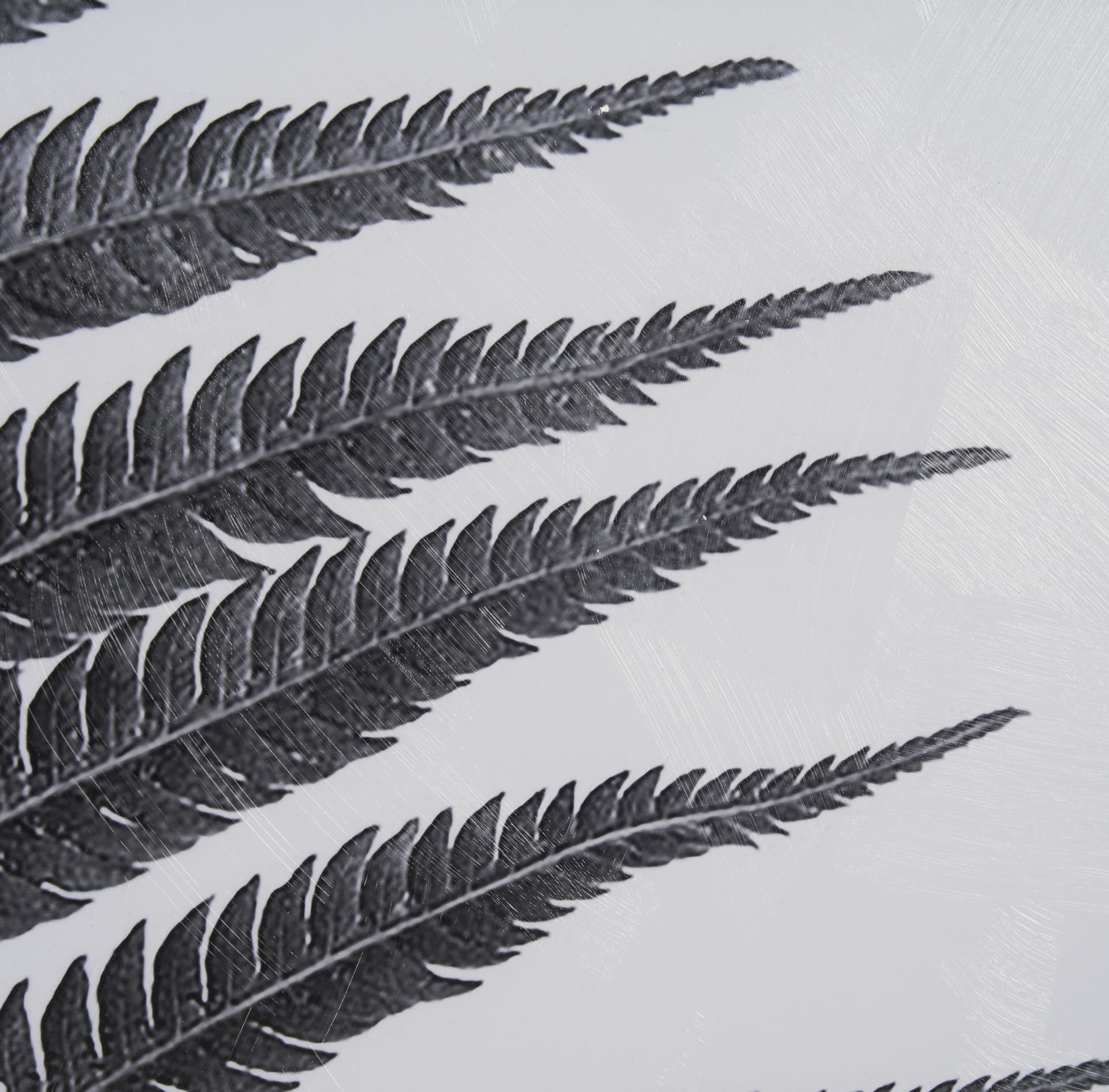 Aspire by Debra Van Swearingen a Hand Embellished Framed Photo Art Print Matted under Glass — product photograph