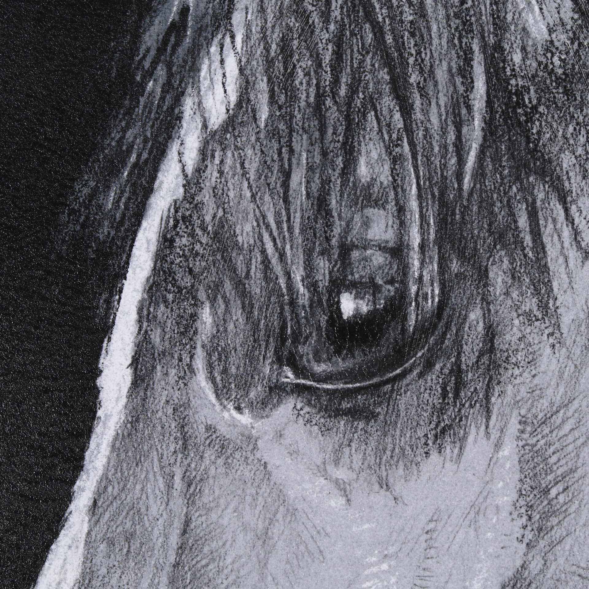 Equestrian Portrait by Mercana Studio Hand Embellished Textured Framed Photo Art Print Matted under — product photograph