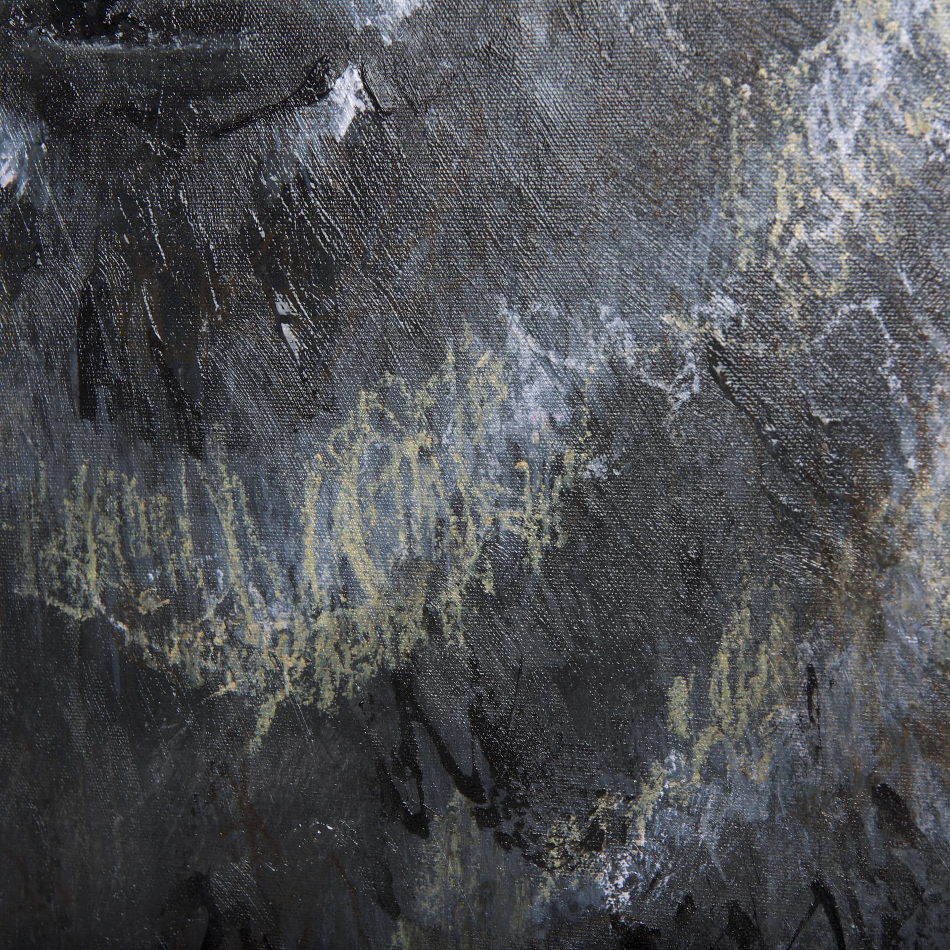Animal Portrait III by Mercana Studio a Hand Embellished Textured Canvas — product photograph