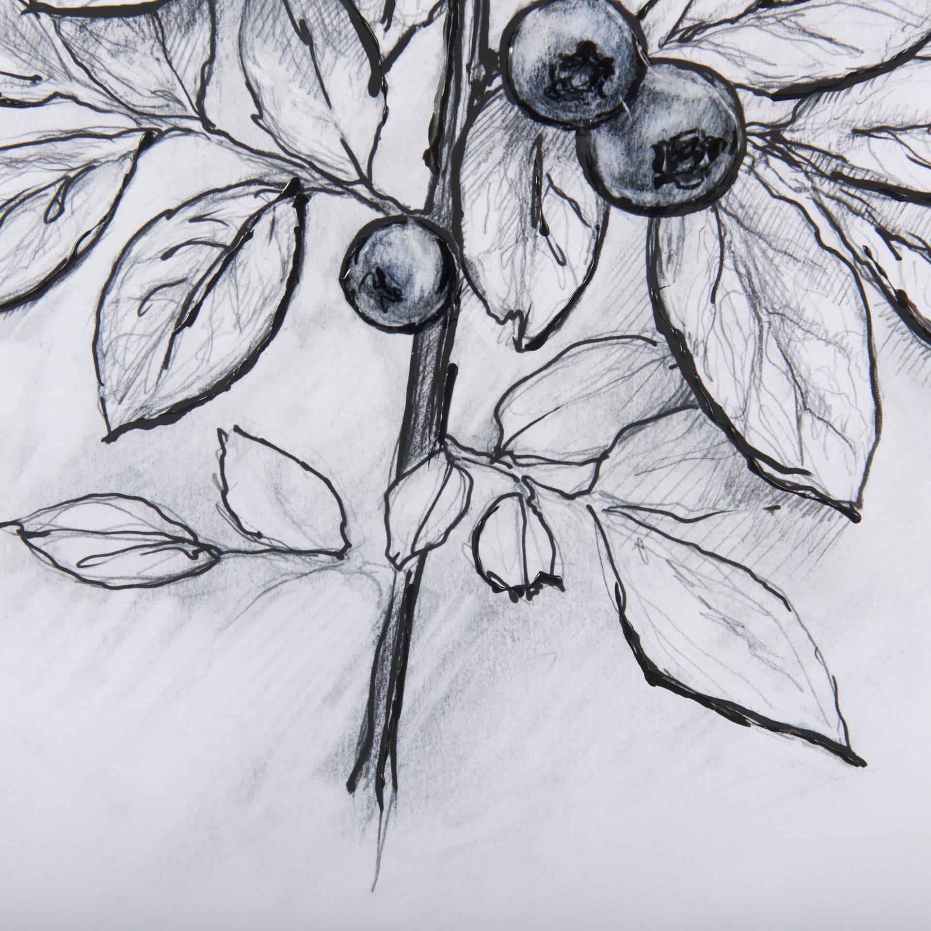 WildBerry Collection Blueberry by Mercana Studio Hand Embellished Framed Art Print Matted under Glas — product photograph