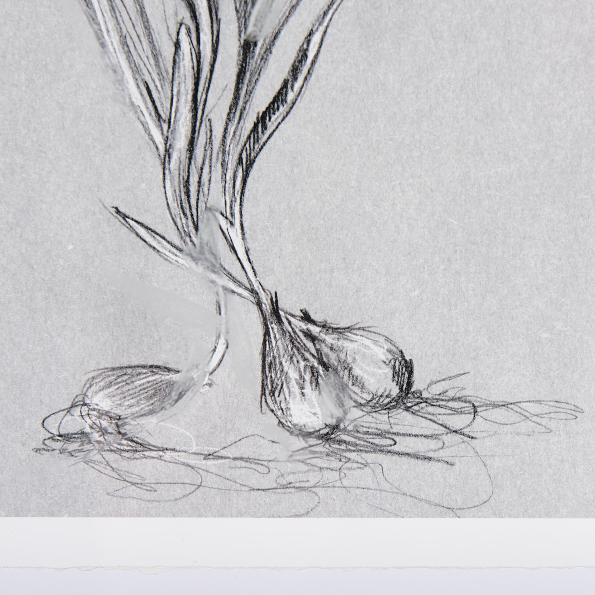 Botanical sketches III (Grey) by Mercana Studio Hand Embellished Framed Art Print Matted under Glass — product photograph