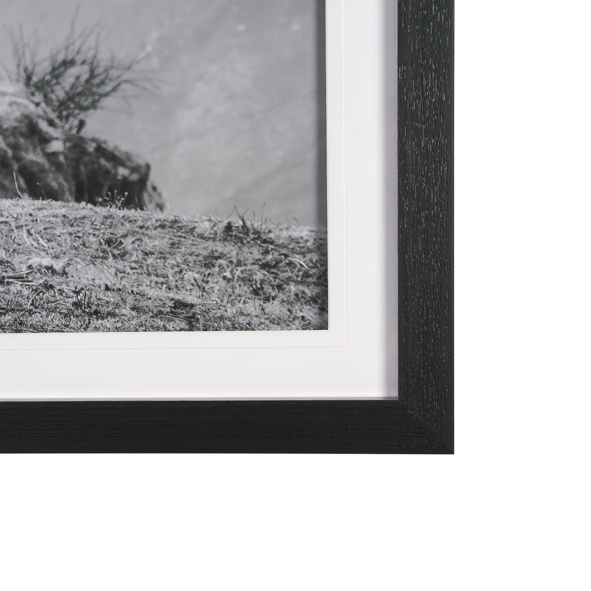 Mountain Majesty - Stance by Matt Roseveare Framed Art Print Matted under Glass — product photograph