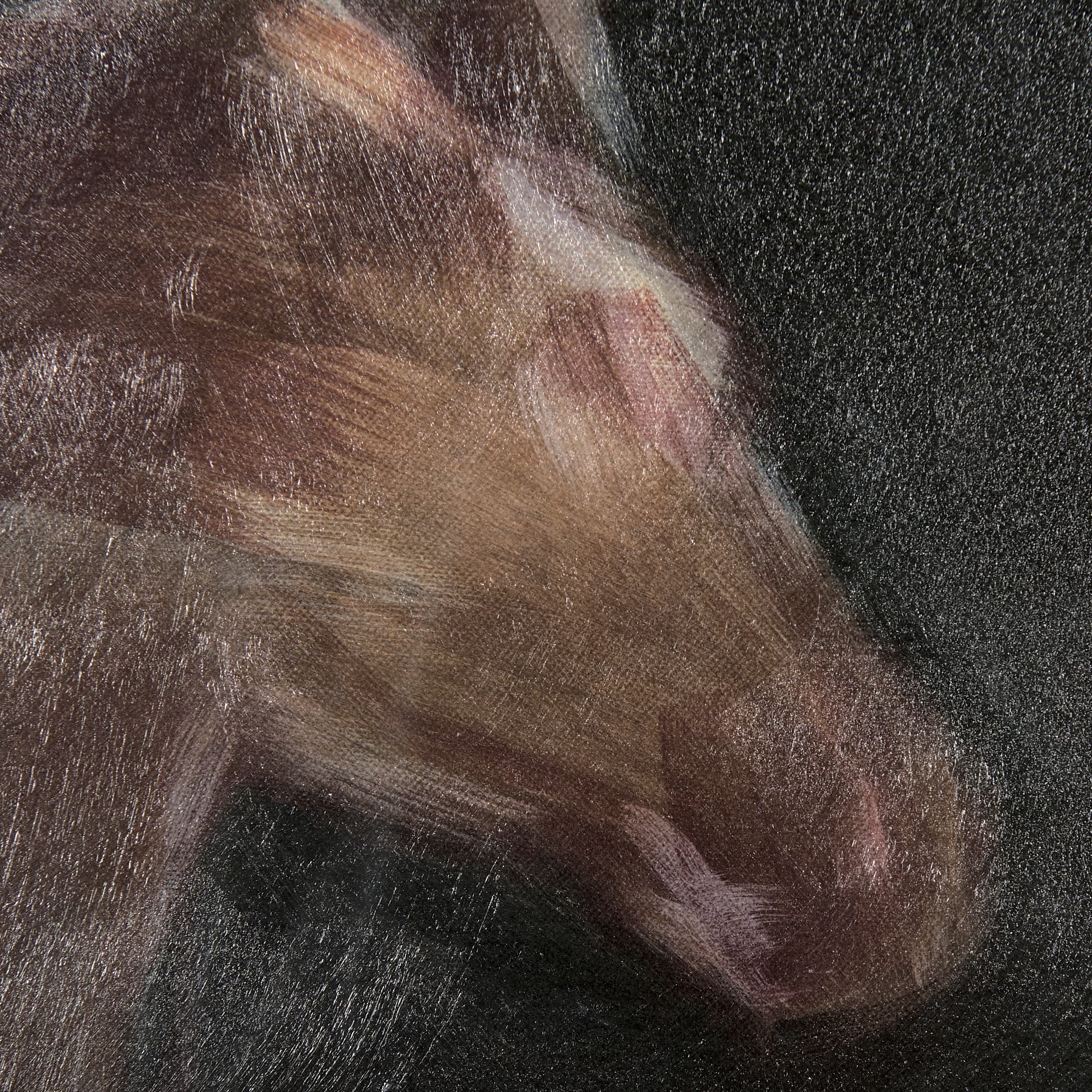 Running Wild - Speed by Mercana Studio Hand Embellished Textured Framed Art Print Matted under Glass — product photograph