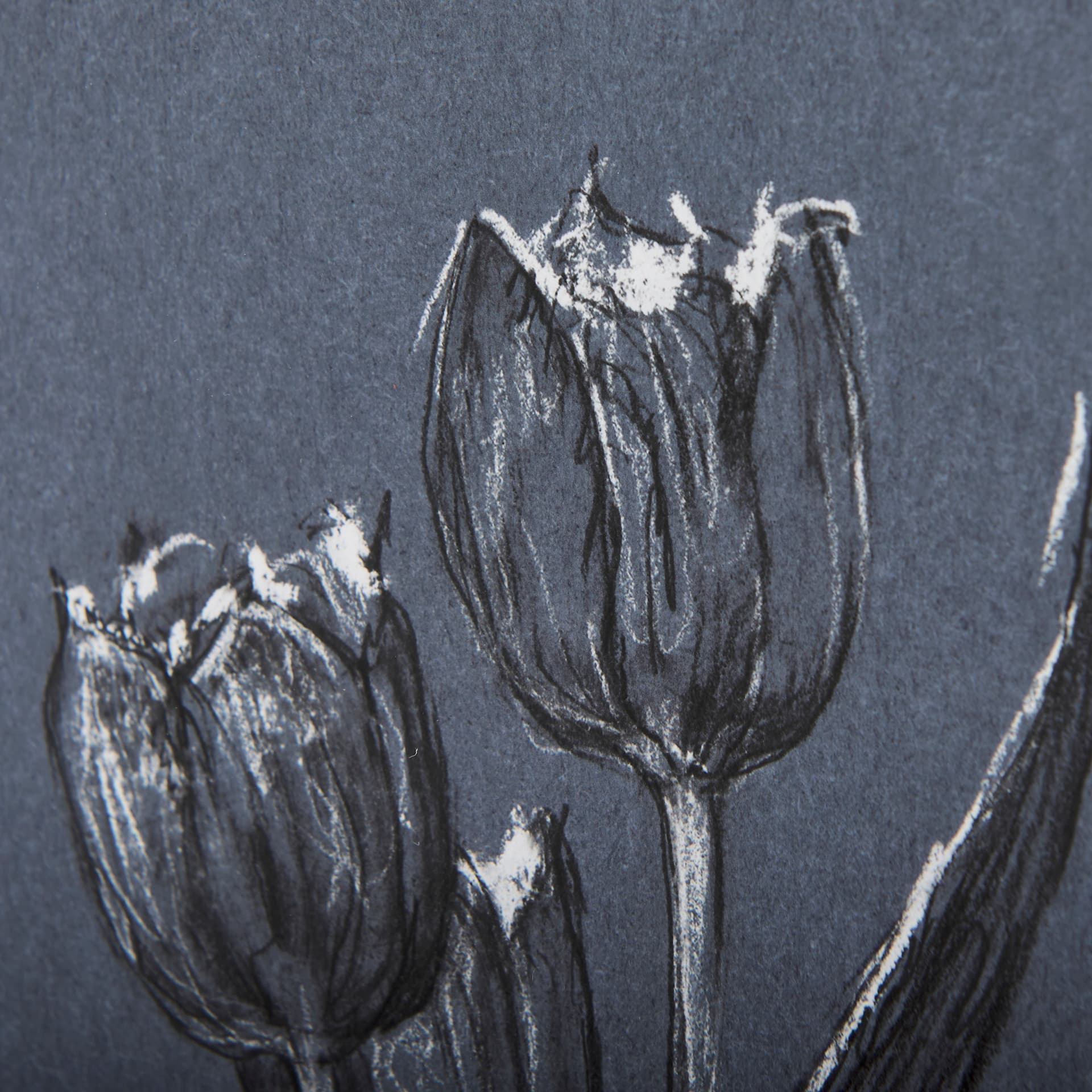 Botanical sketches I (Blue) by Mercana Studio Hand Embellished Framed Art Print Matted under Glass — product photograph