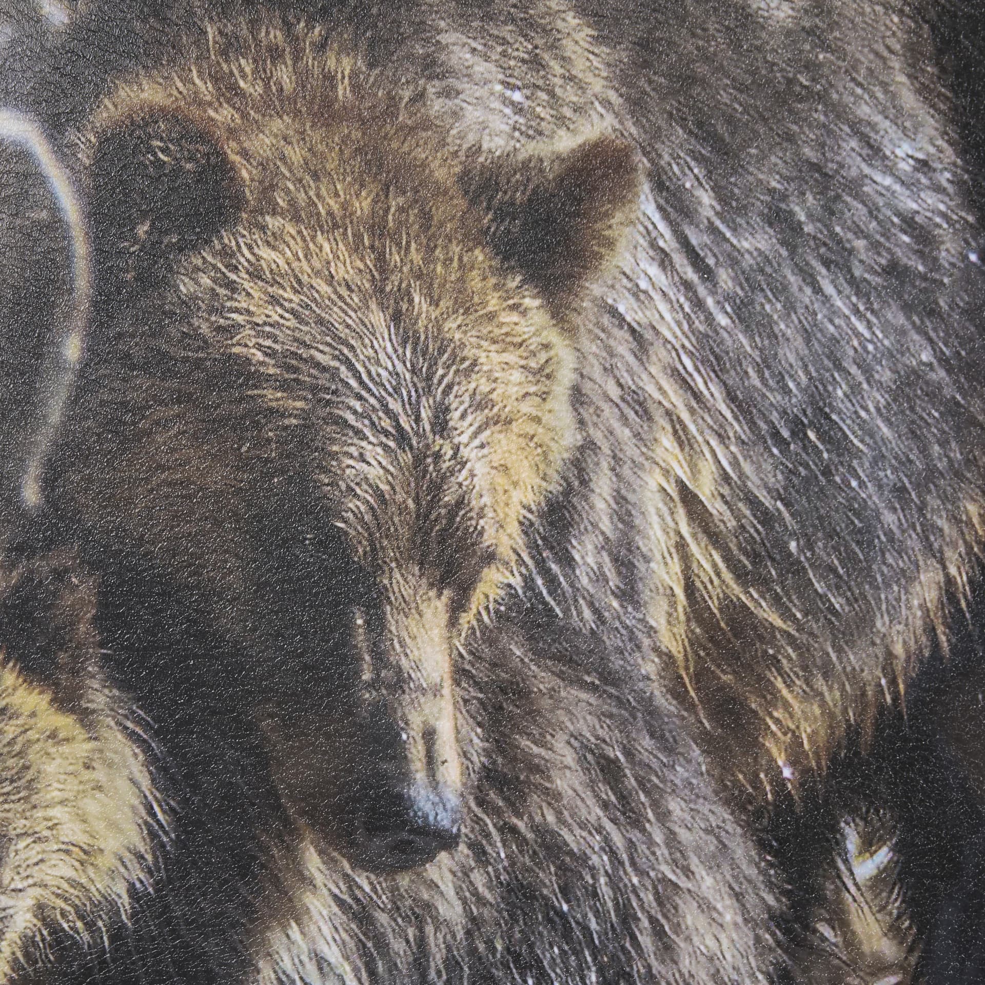 Mom and Cub by Chad Mackay a Hand Embellished Textured Framed Photo Art Print Matted under Glass — product photograph