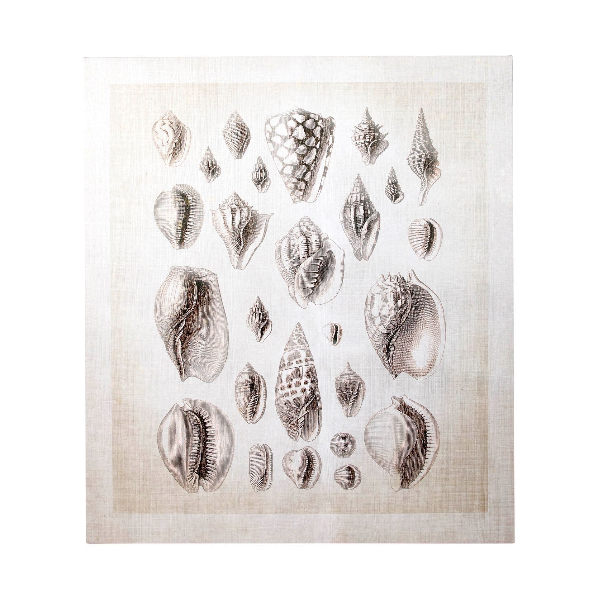 Ocean Shell Collection I by Christopher James a Hand Embellished Textured Canvas — product photograph