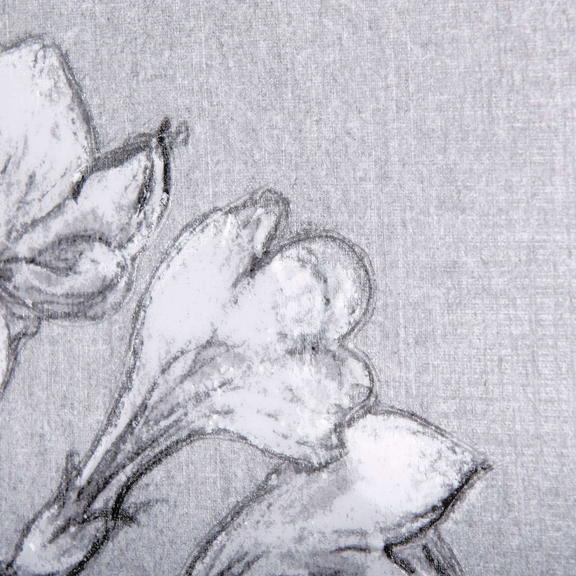 Botanical sketches III (Grey) by Mercana Studio a Hand Embellished Textured Canvas — product photograph