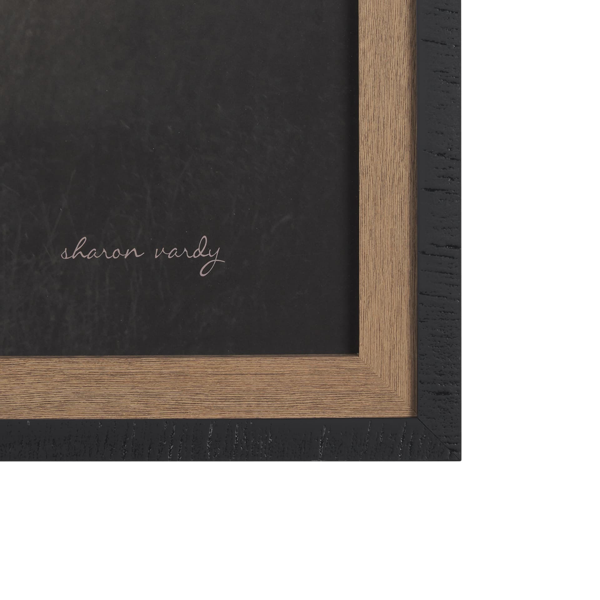 Kudu Bull by Sharon Vardy a Hand Embellished Framed Photo Art Print Matted under Glass — product photograph