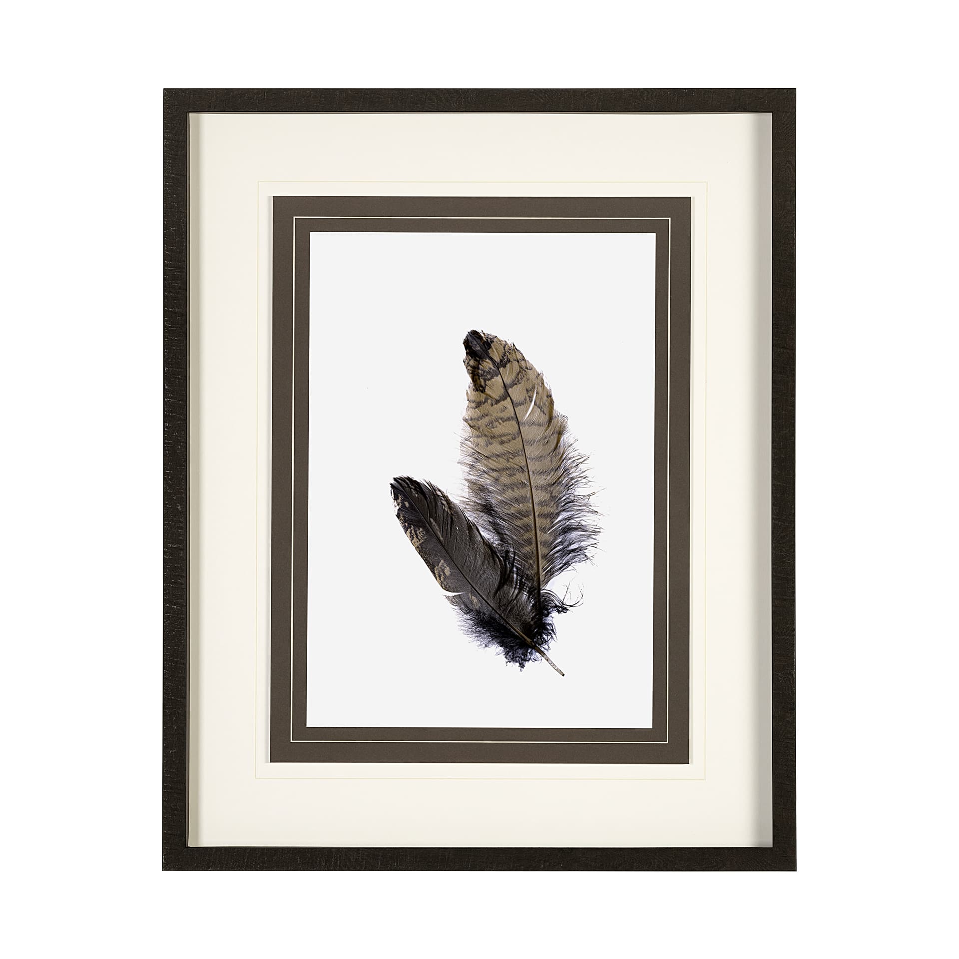 Feathered Friends by Nancy Crowell a Framed Art Print Matted under Glass — product photograph