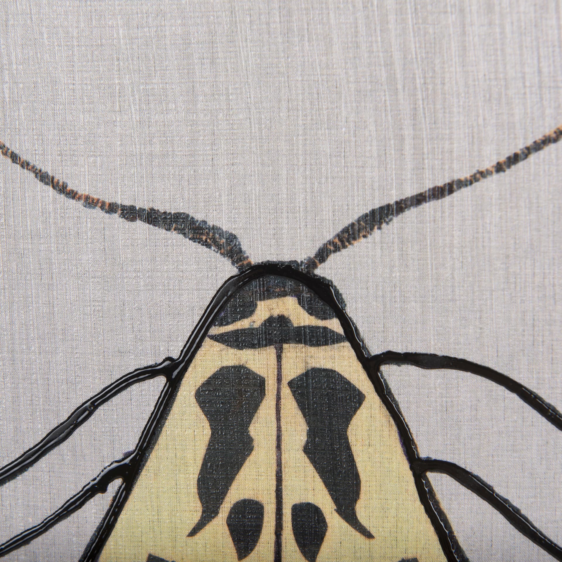 Moth III by Mercana Studio a Hand Embellished Textured Framed Art Print — product photograph