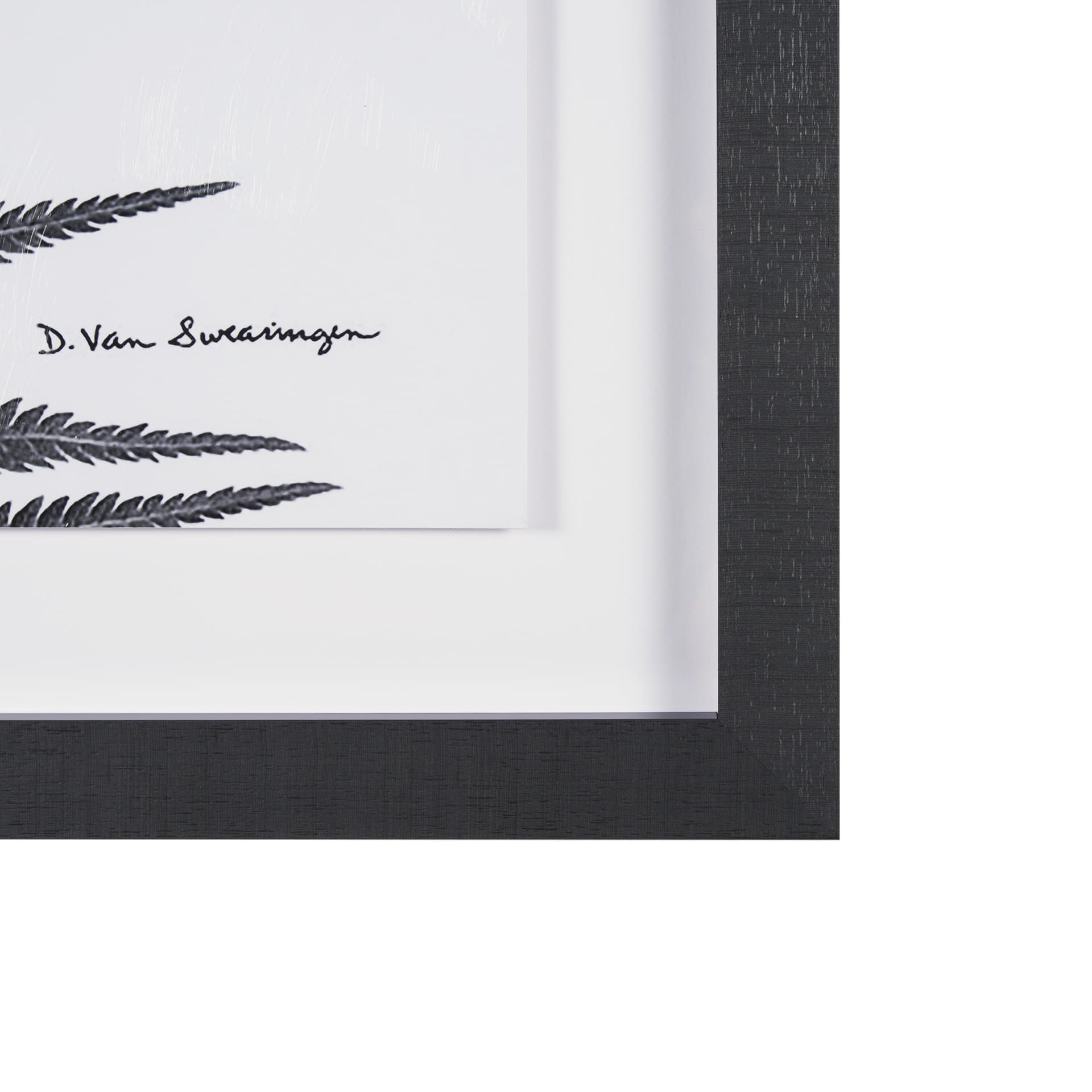 Truth by Debra Van Swearingen a Hand Embellished Framed Photo Art Print Matted under Glass — product photograph