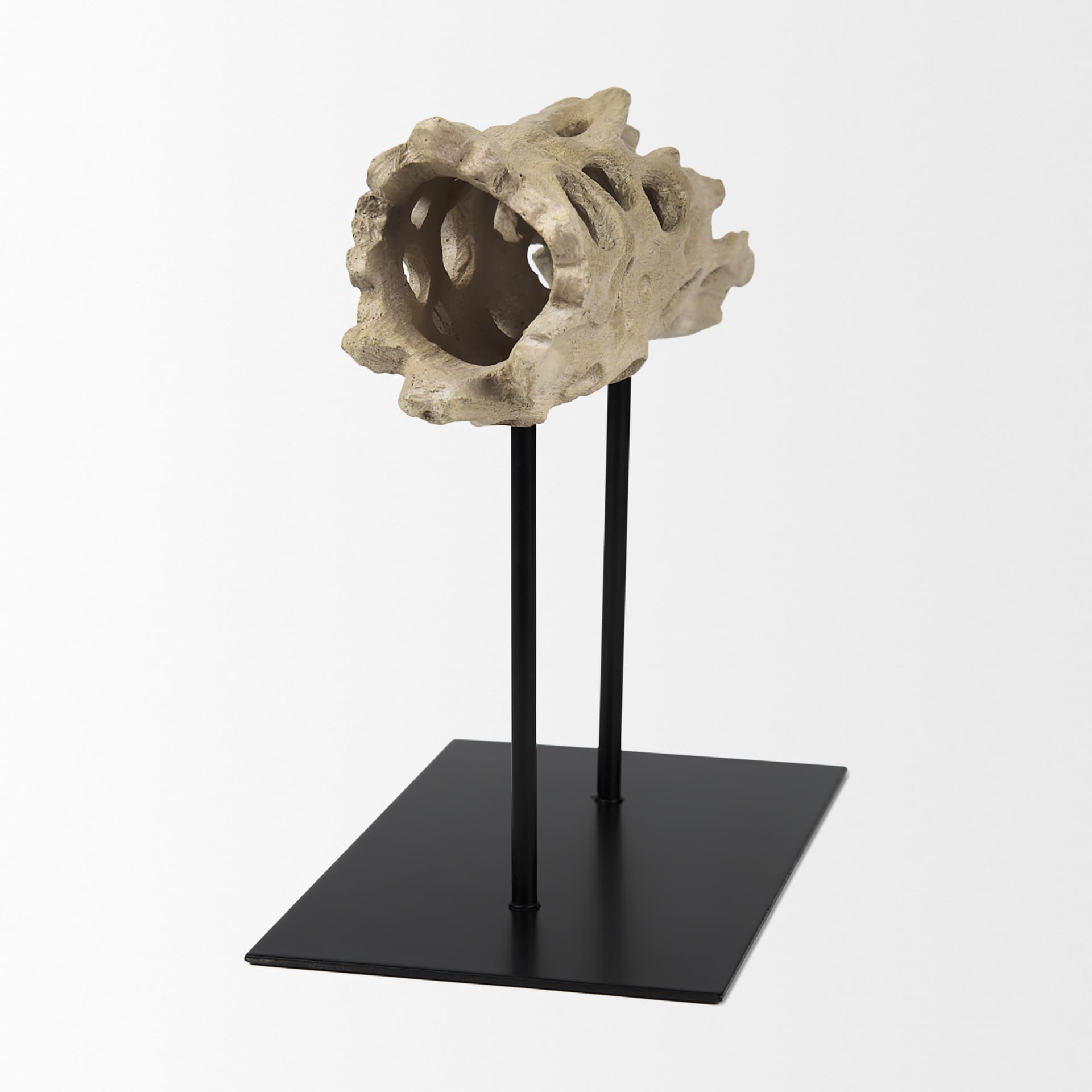 Dwell Cholla Wood Resin Decorative Object — product photograph