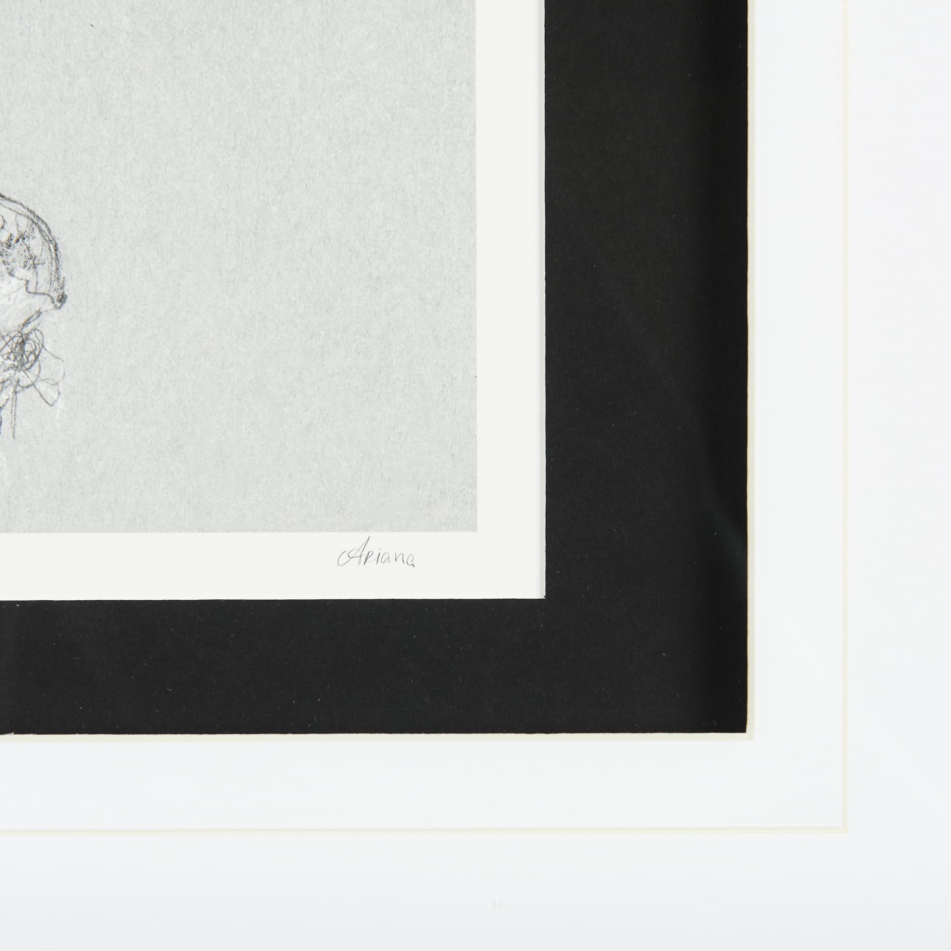Botanical sketches I (Grey) by Mercana Studio Hand Embellished Framed Art Print Matted under Glass — product photograph