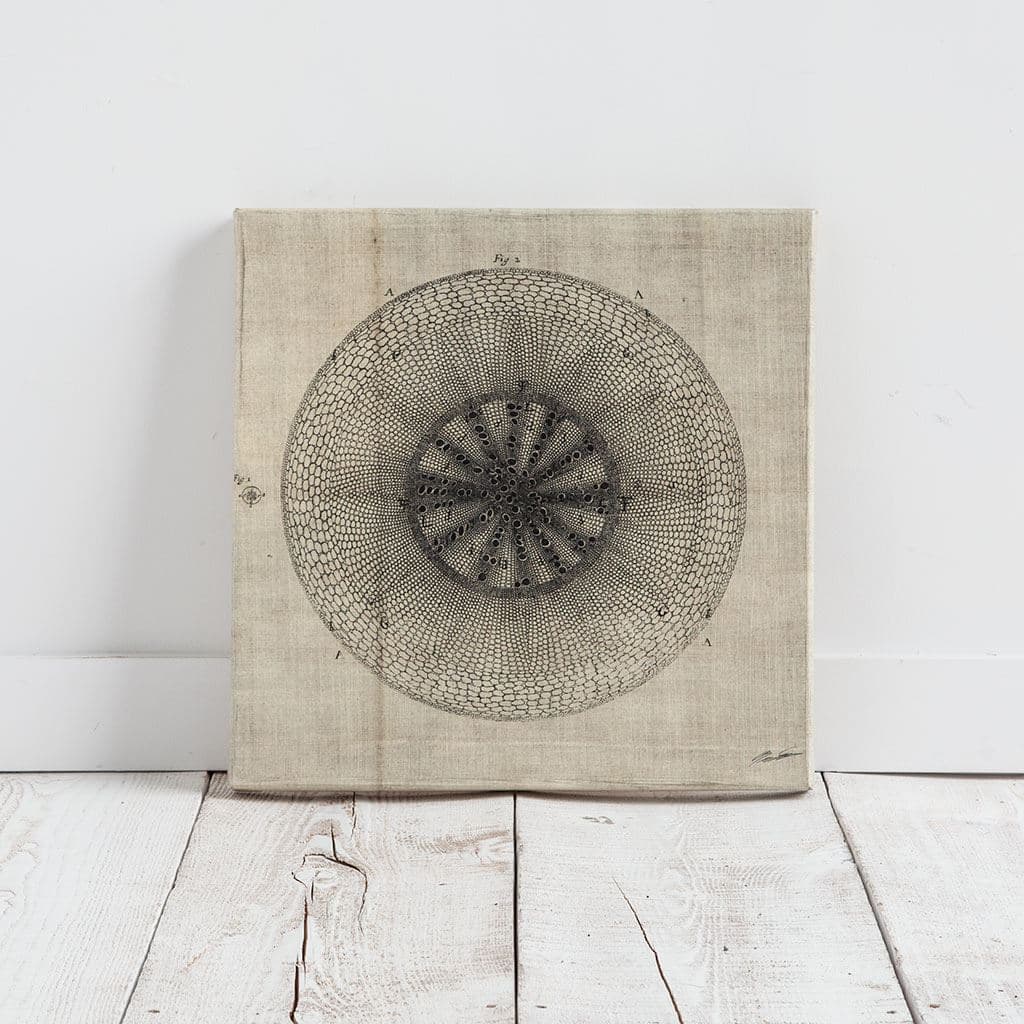 Cross Cut IV (MC) by Mercana Studio a Hand Embellished Textured Canvas — product photograph