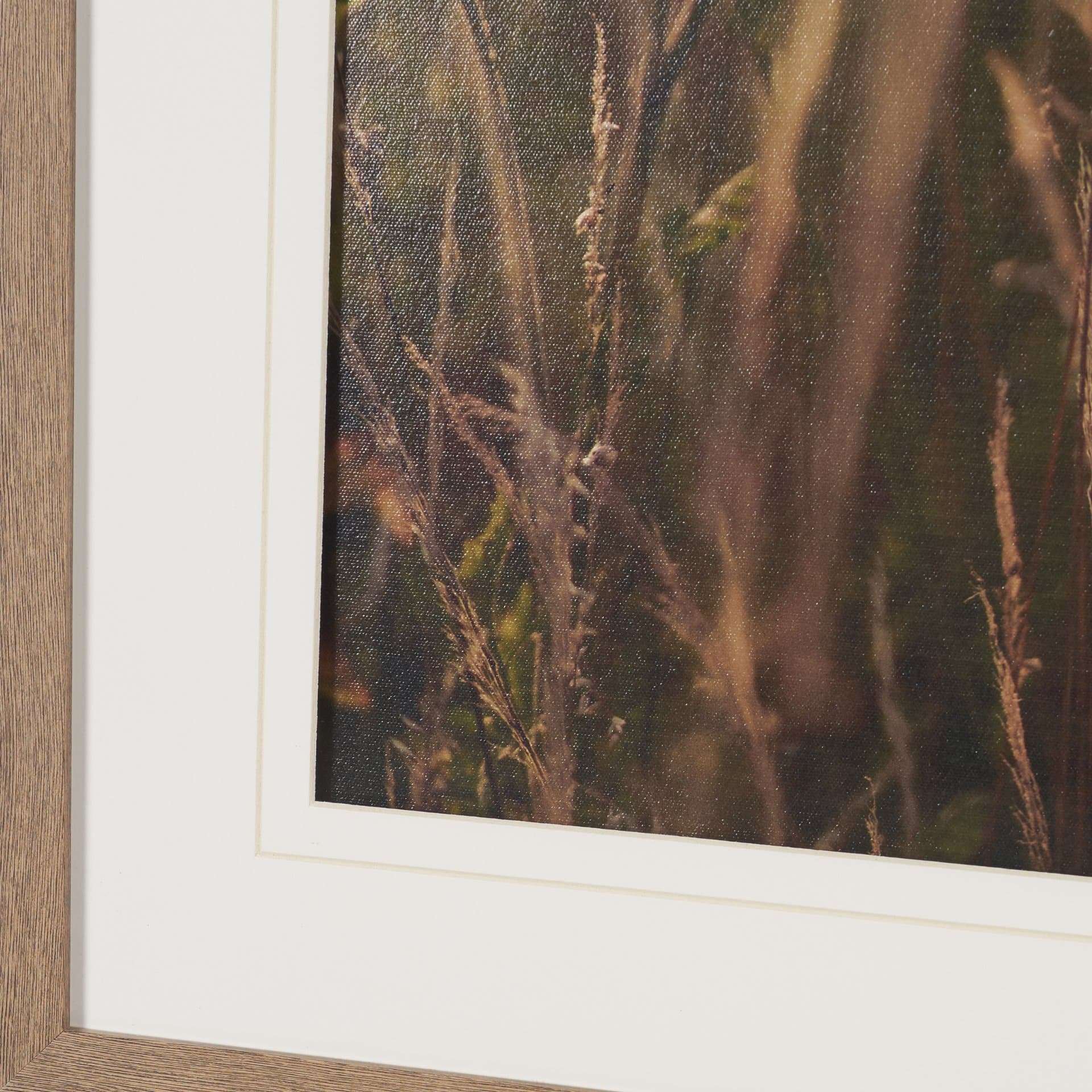 Wild Carrot Flowers by Zaira Zarotti Textured Framed Photo Print Matted under Glass — product photograph